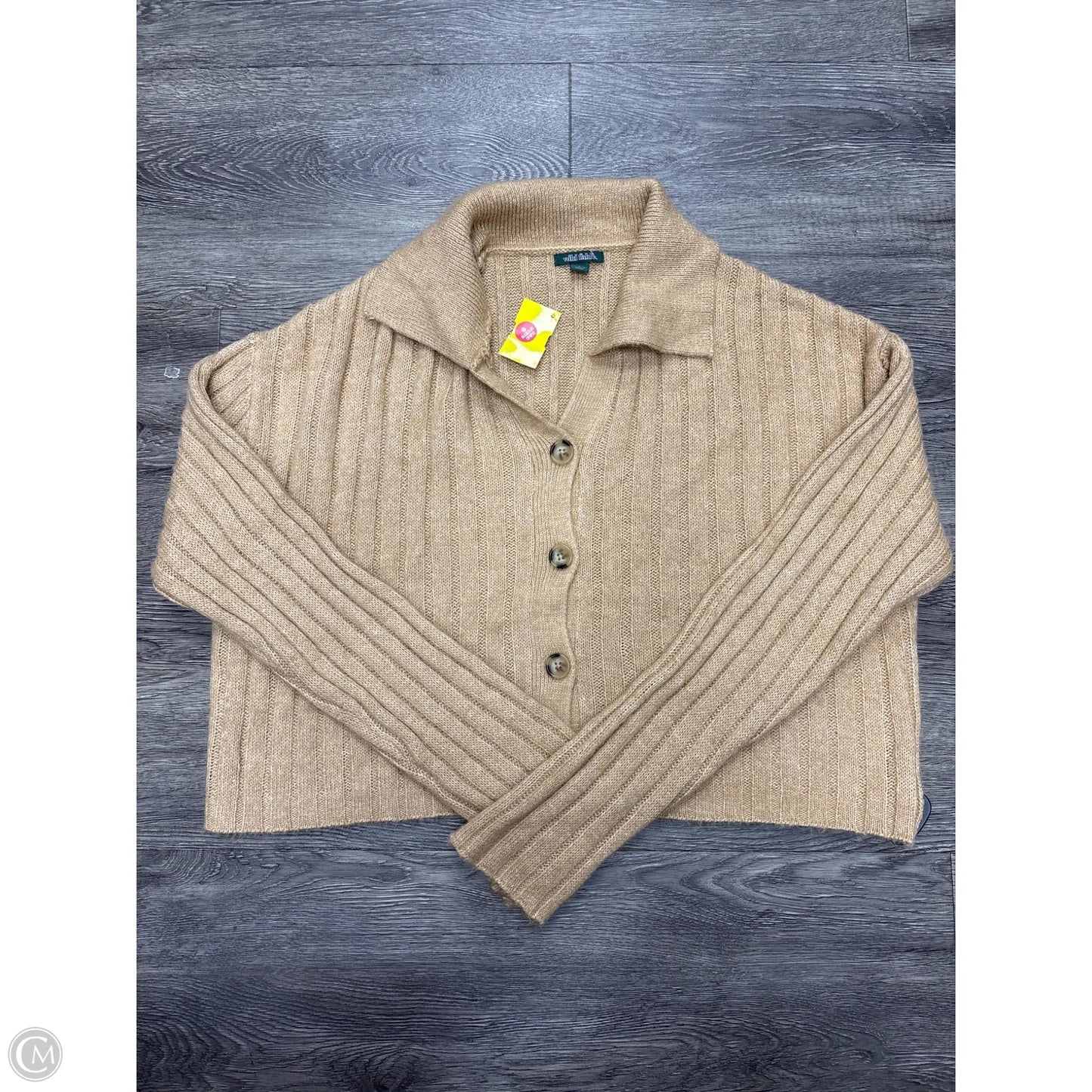 Top Long Sleeve By Wild Fable In Brown, Size: L