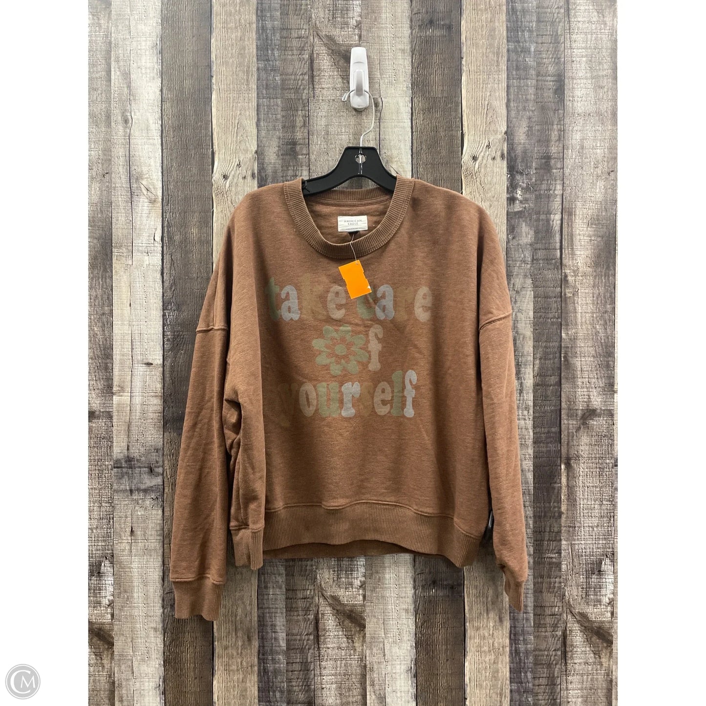 Sweatshirt Crewneck By American Eagle In Brown, Size: L