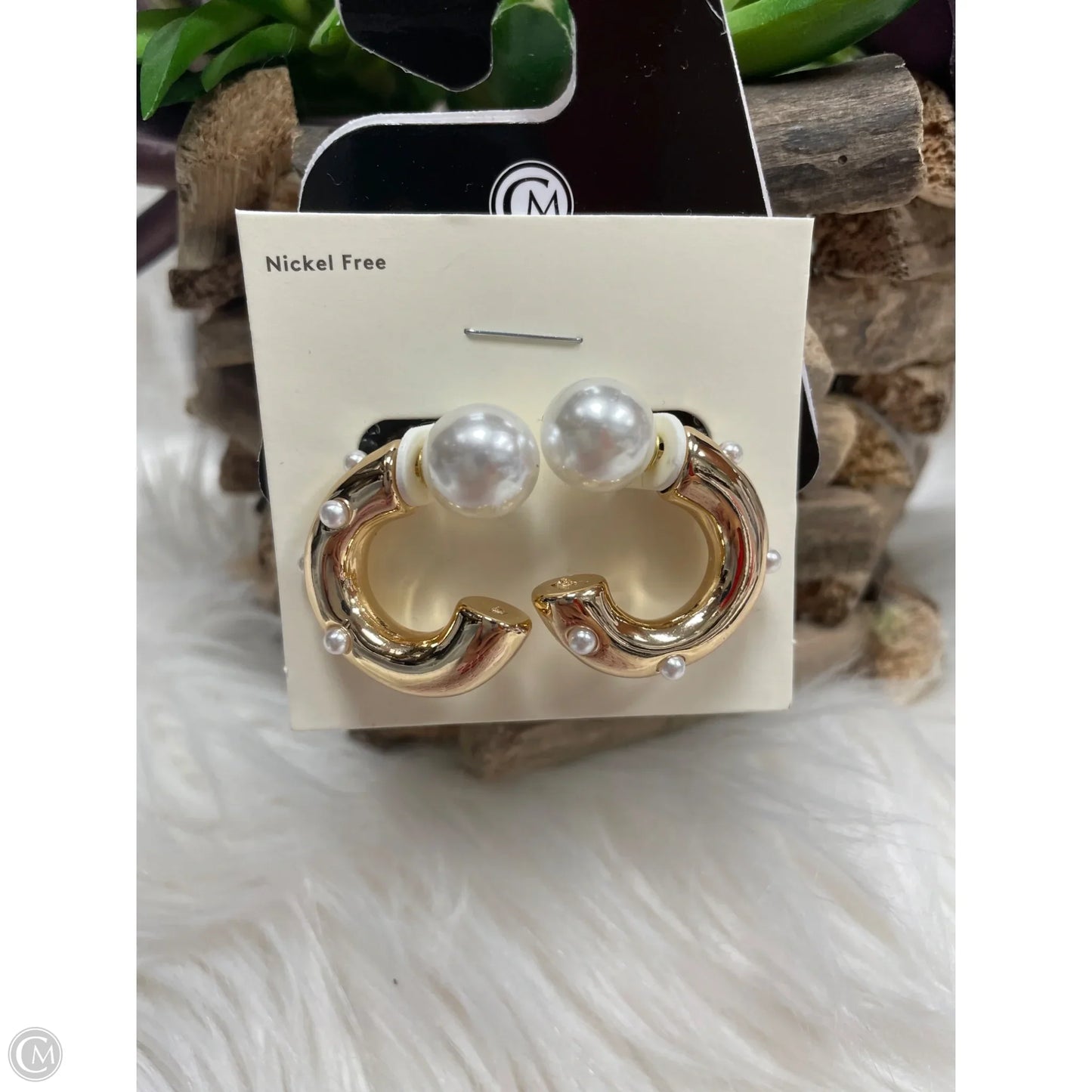 Earrings Hoop By Bp