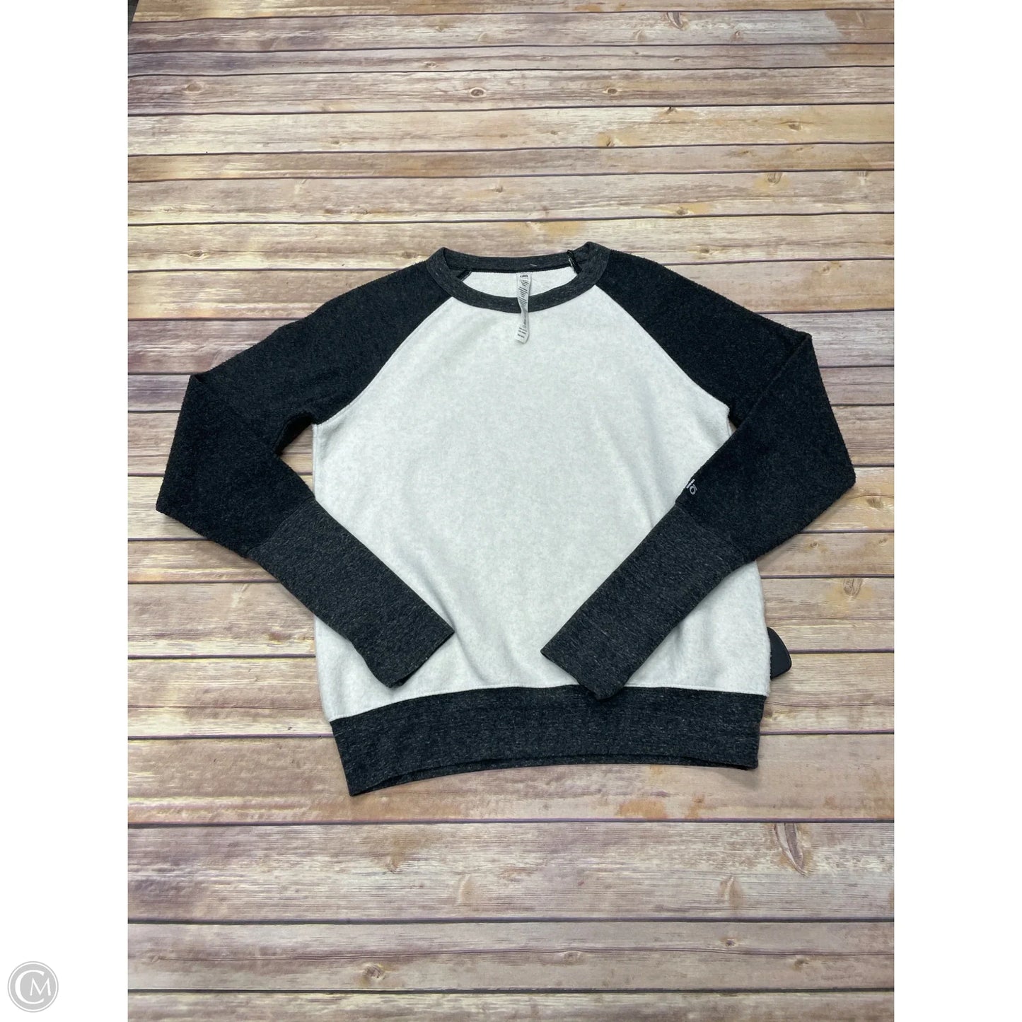 Sweatshirt Crewneck By Alo In Grey, Size: Xs