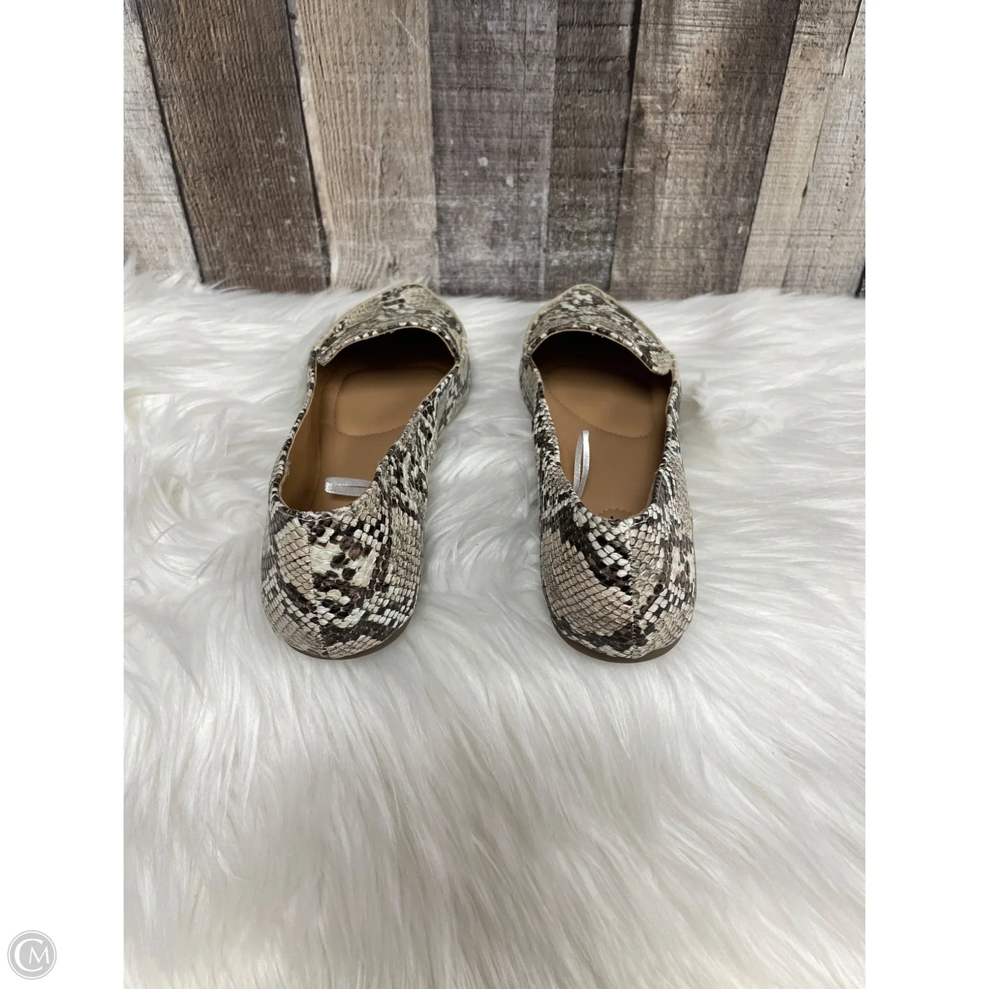 Shoes Flats By Esprit In Snakeskin Print, Size: 9