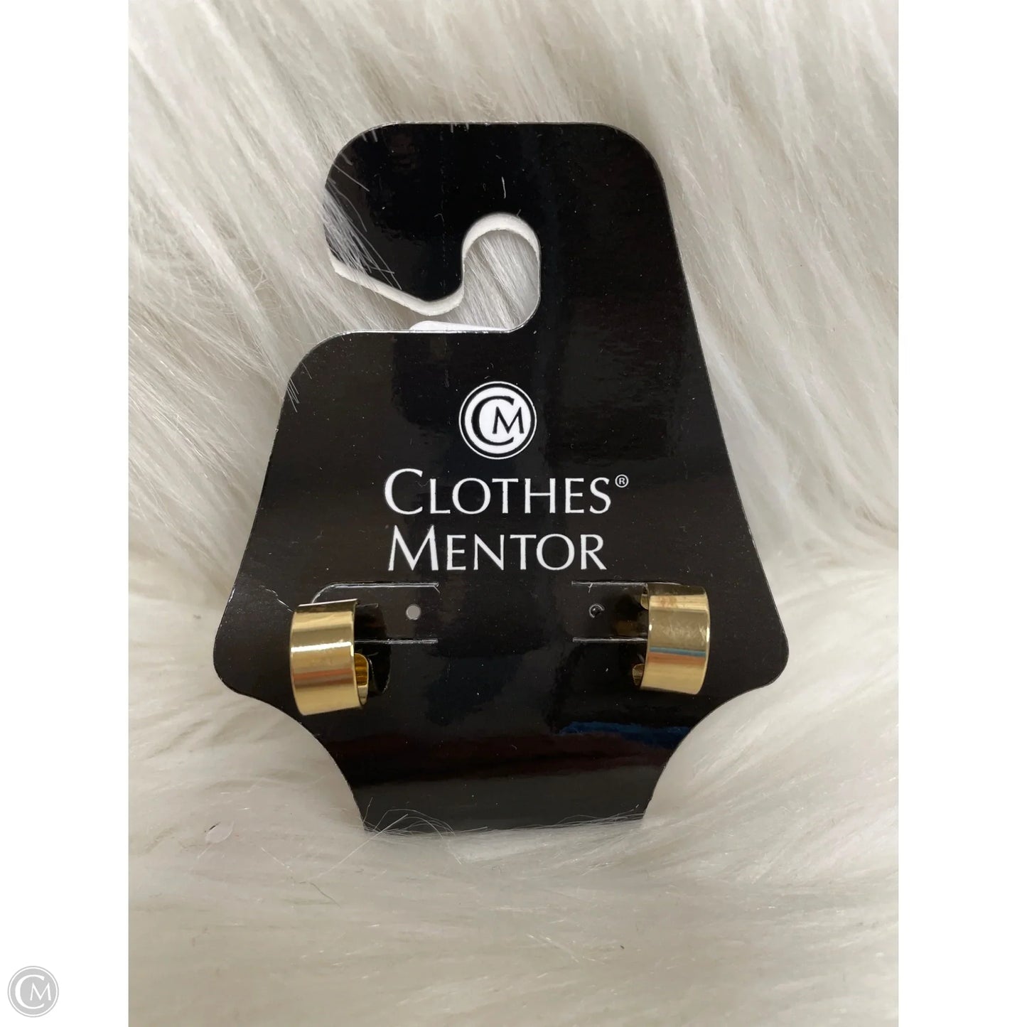 Earrings Hoop By Cme