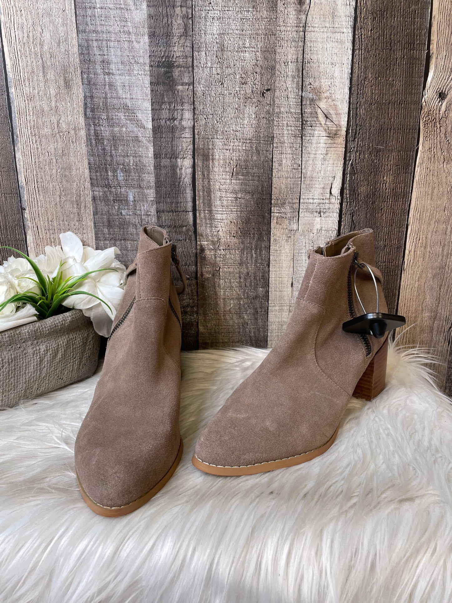 Boots Ankle Heels By Sole Society Size: 8
