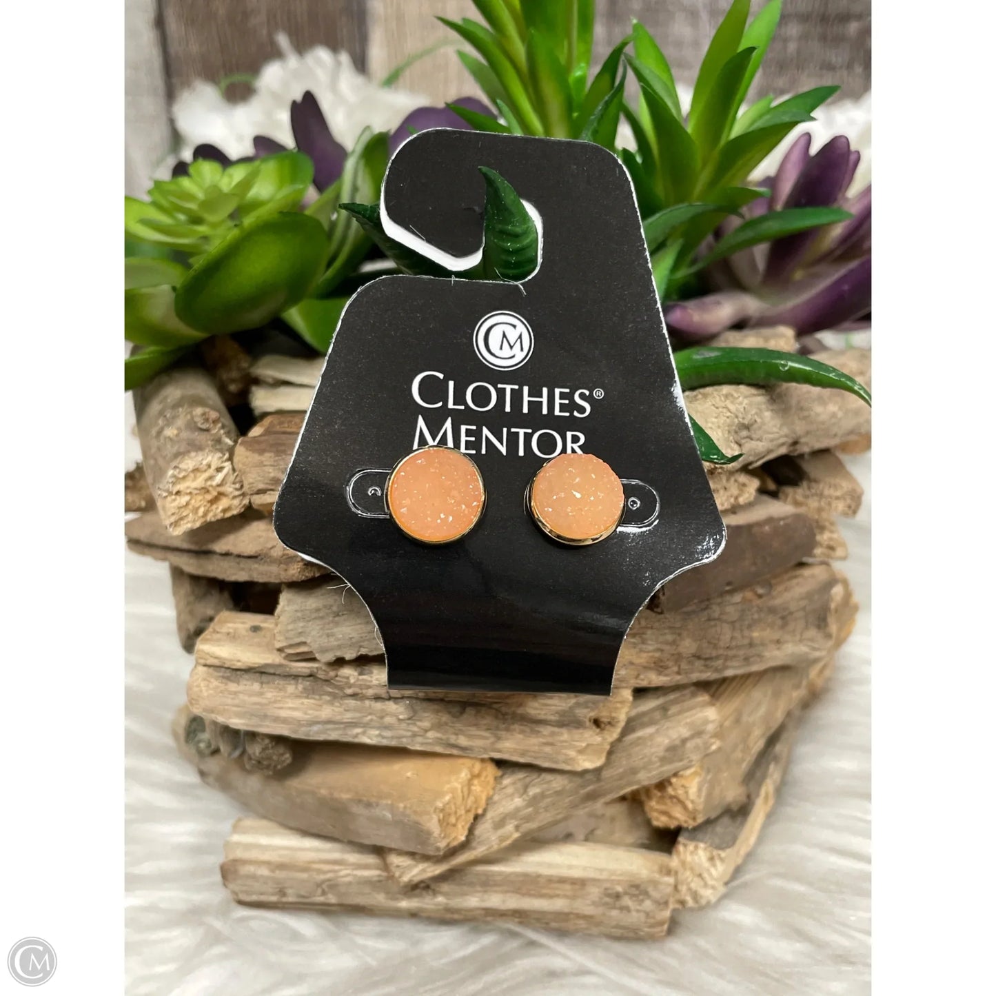 Earrings Stud By Plunder