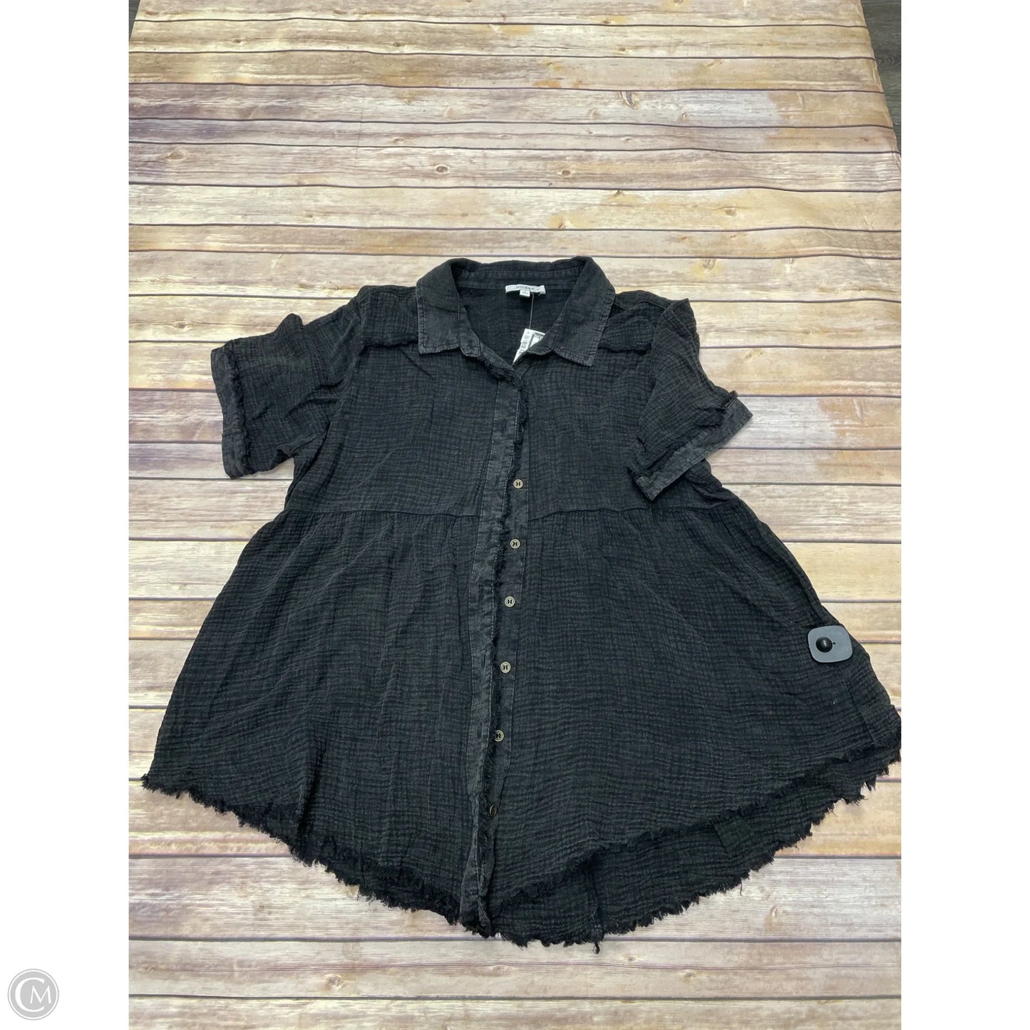 Top Short Sleeve By Umgee In Grey, Size: 1x