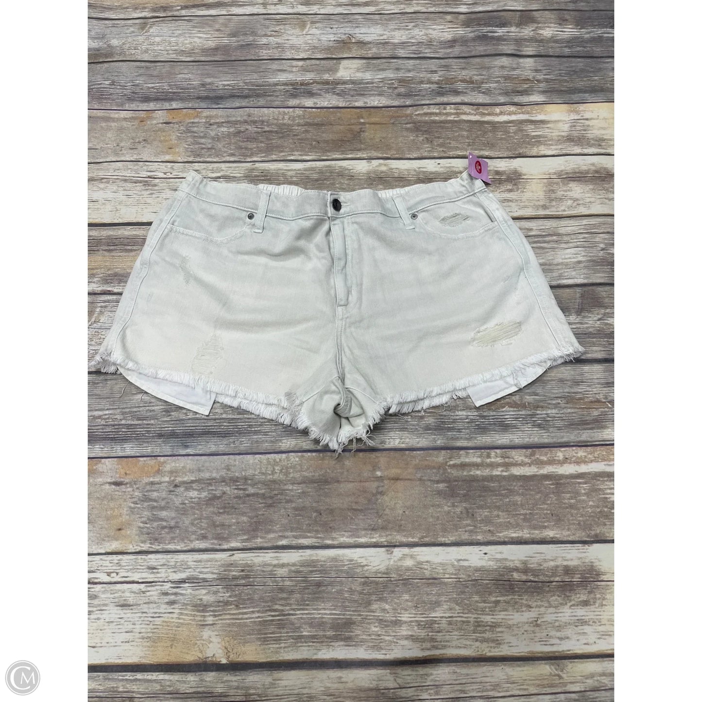Shorts By Aerie In Green, Size: Xl