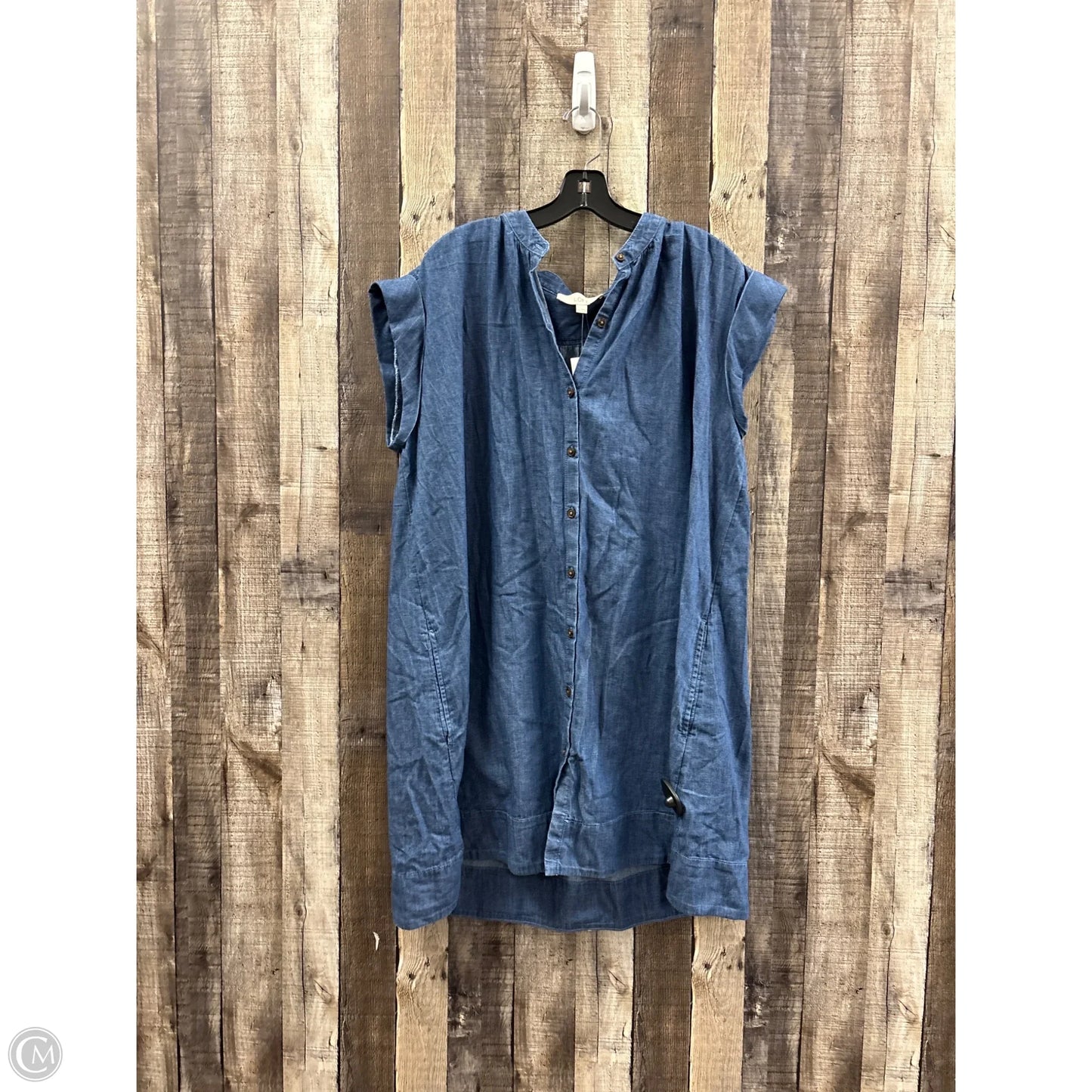 Dress Casual Short By Loft In Blue, Size: Xl