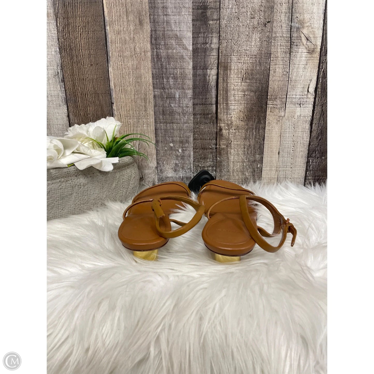 Sandals Heels Kitten By Vince In Brown