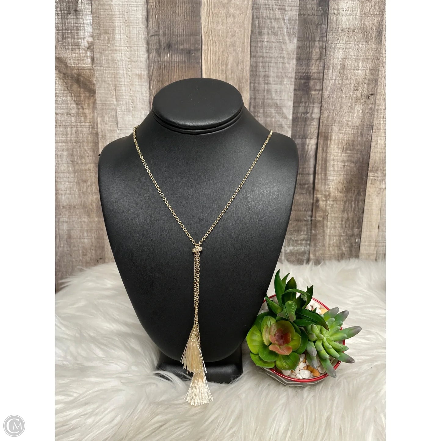 Necklace Lariat & Y-drop By Charming Charlie