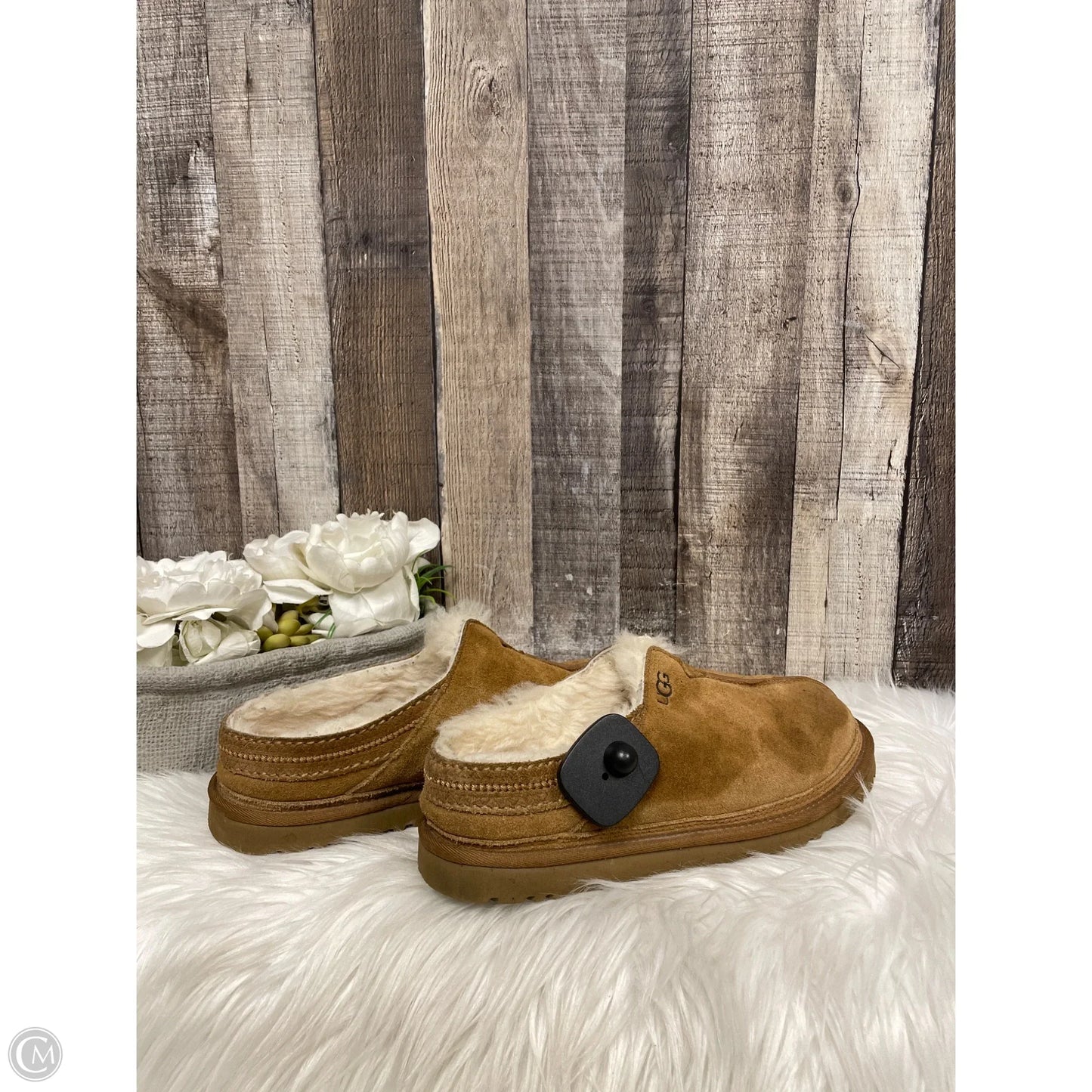 Shoes Designer By Ugg In Tan, Size: 8