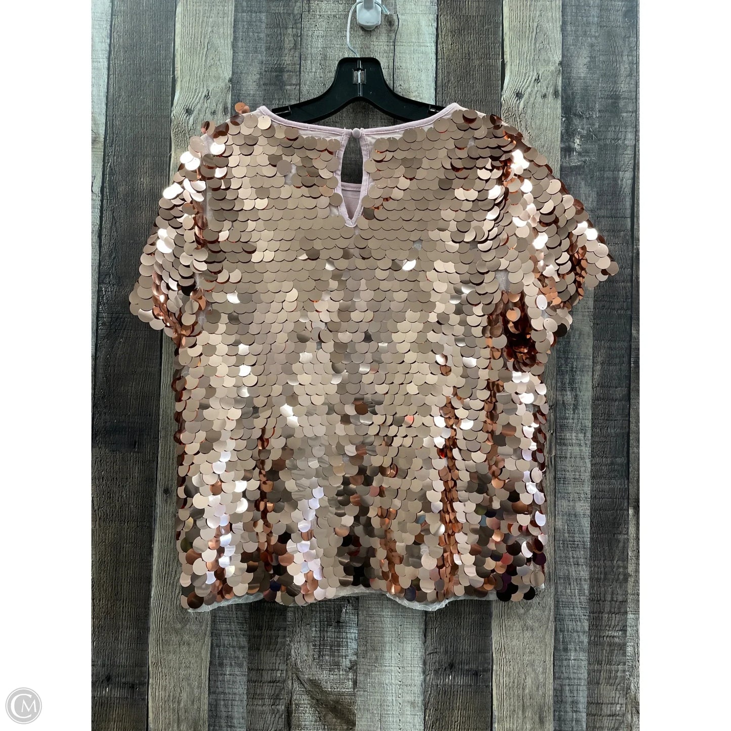Top 2pc 3/4 Sleeve By Eva Franco In Copper, Size: Xs