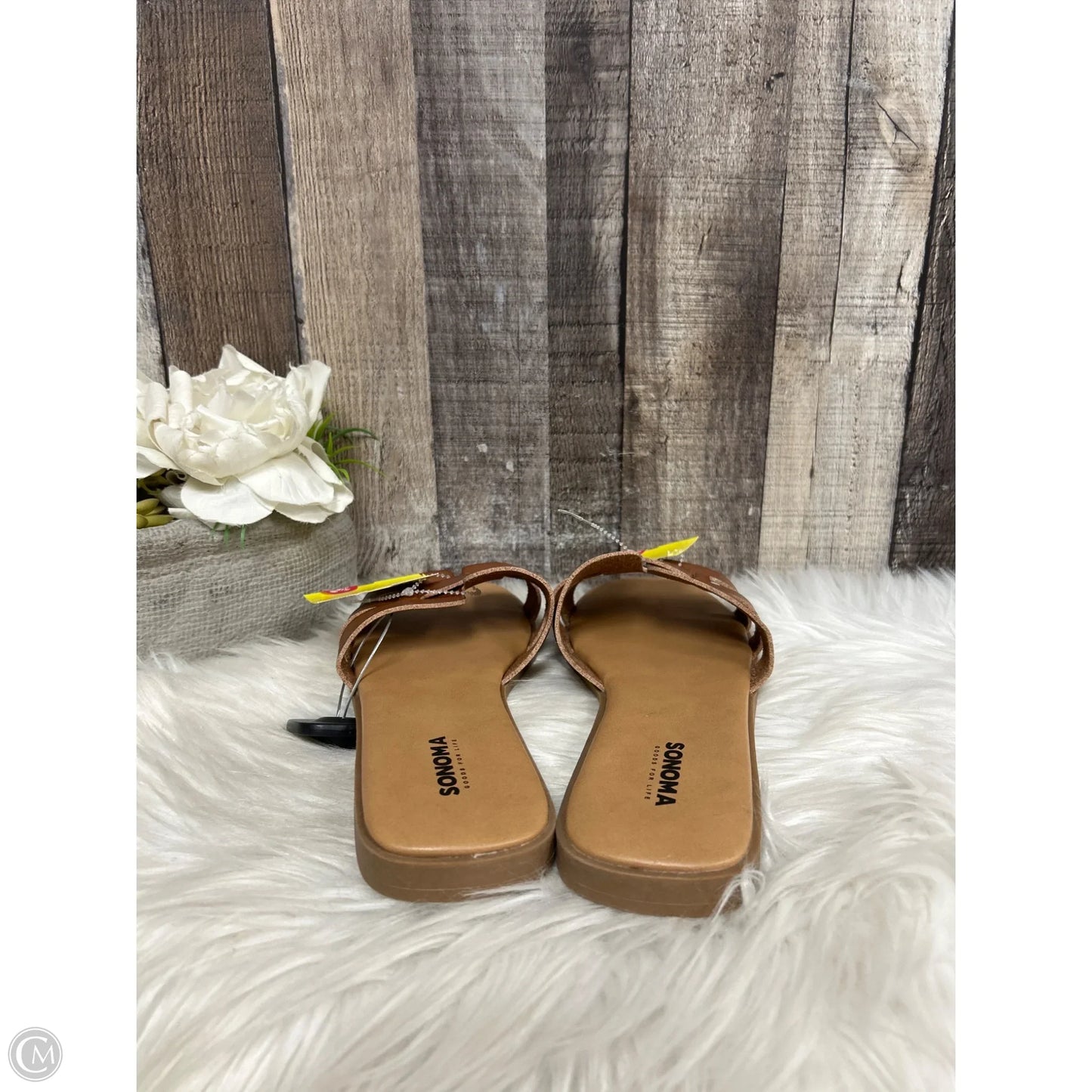 Sandals Flats By Sonoma In Brown, Size: 10