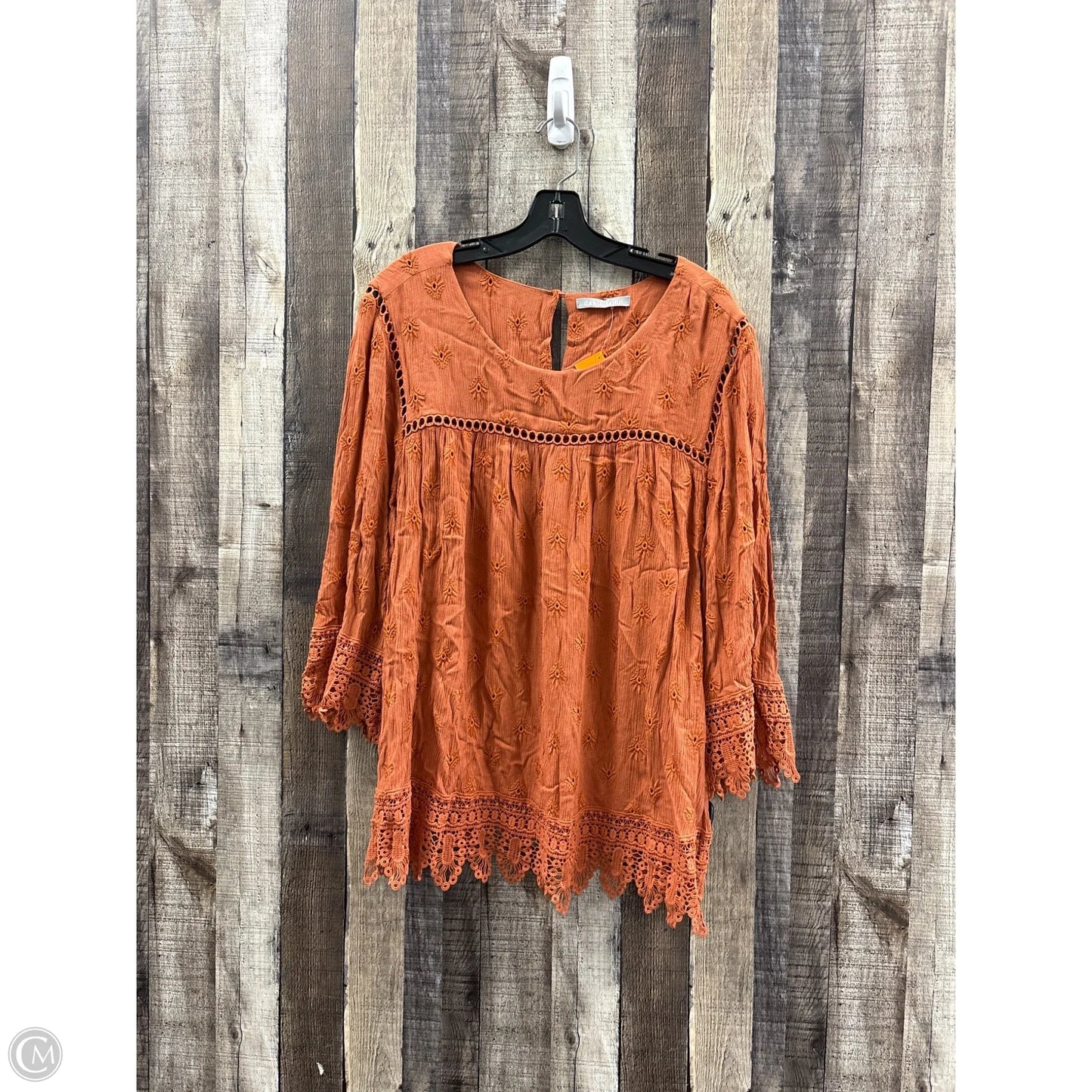 Top Long Sleeve By Daniel Rainn In Bronze, Size: 1x