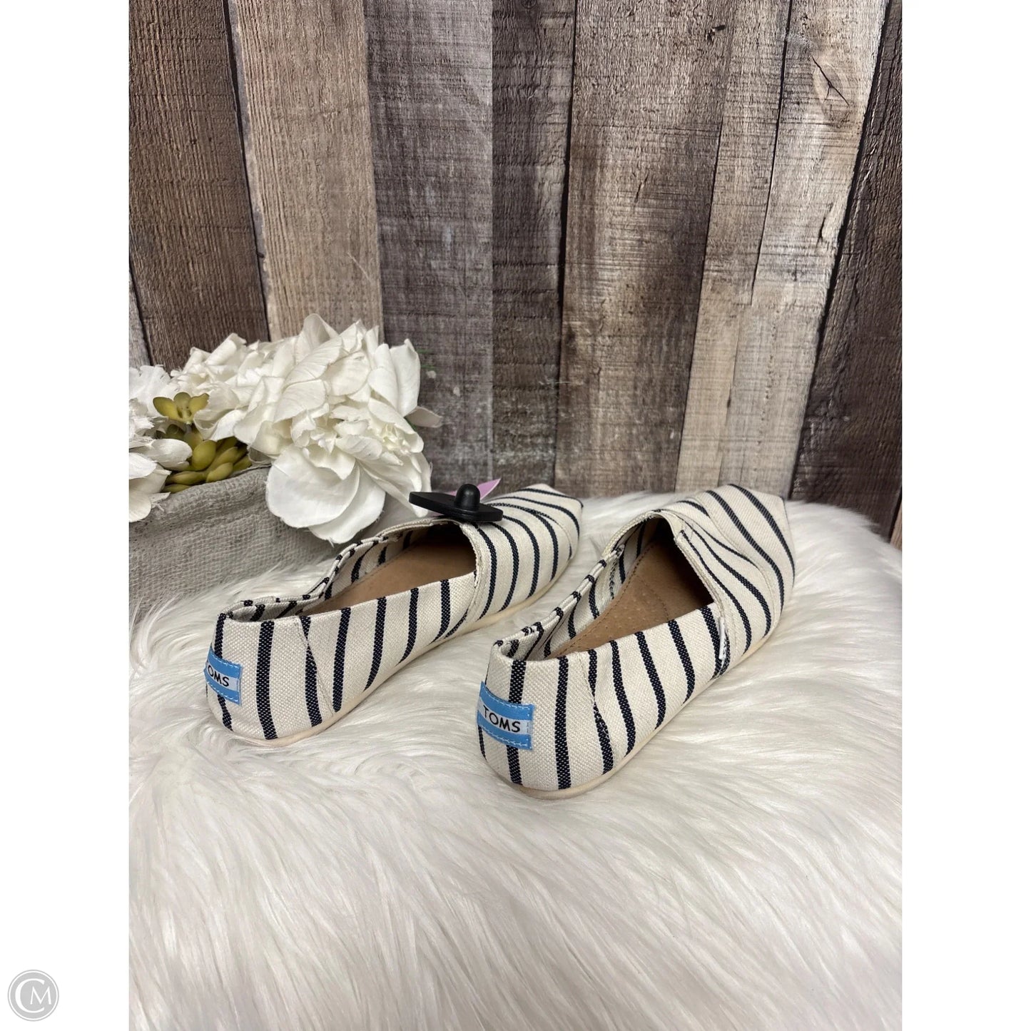 Shoes Flats By Toms In Black & Cream, Size: 7