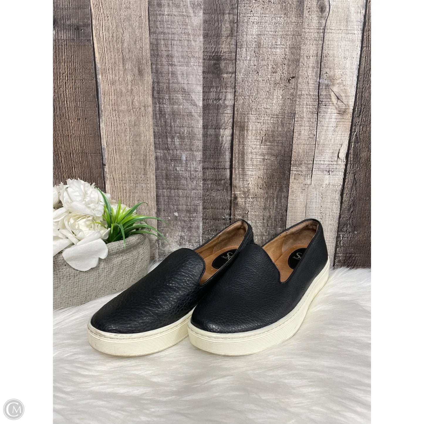 Shoes Sneakers By Sofft In Black, Size: 8