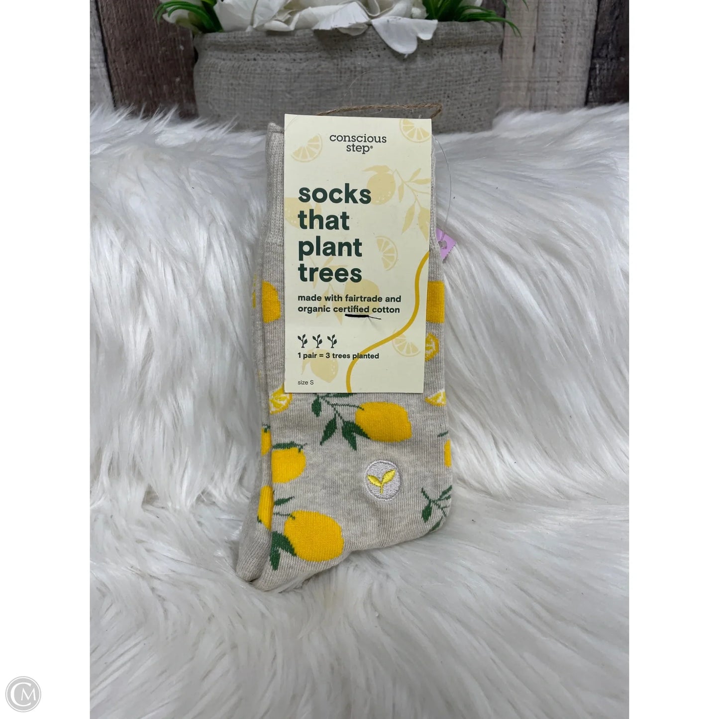 Socks By Cme In Multi-colored, Size: 0