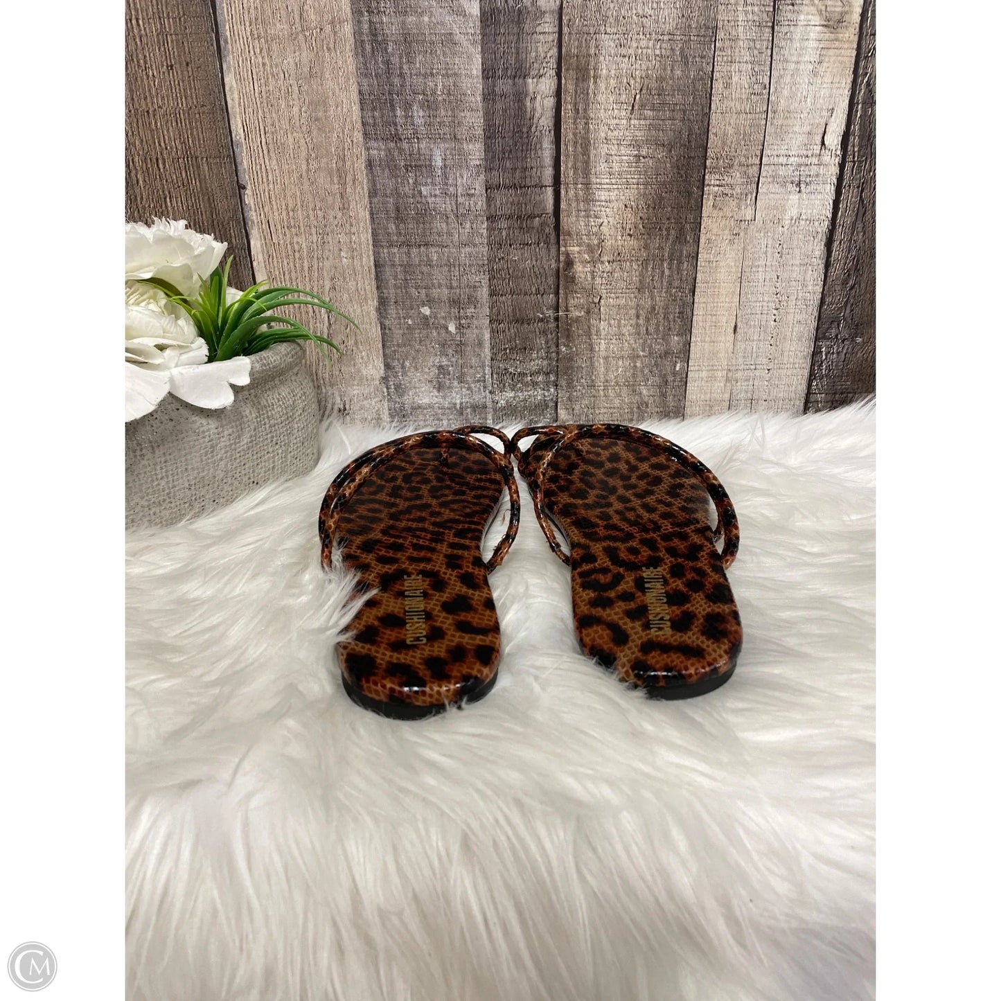 Sandals Flats By Cushionaire In Animal Print, Size: 8