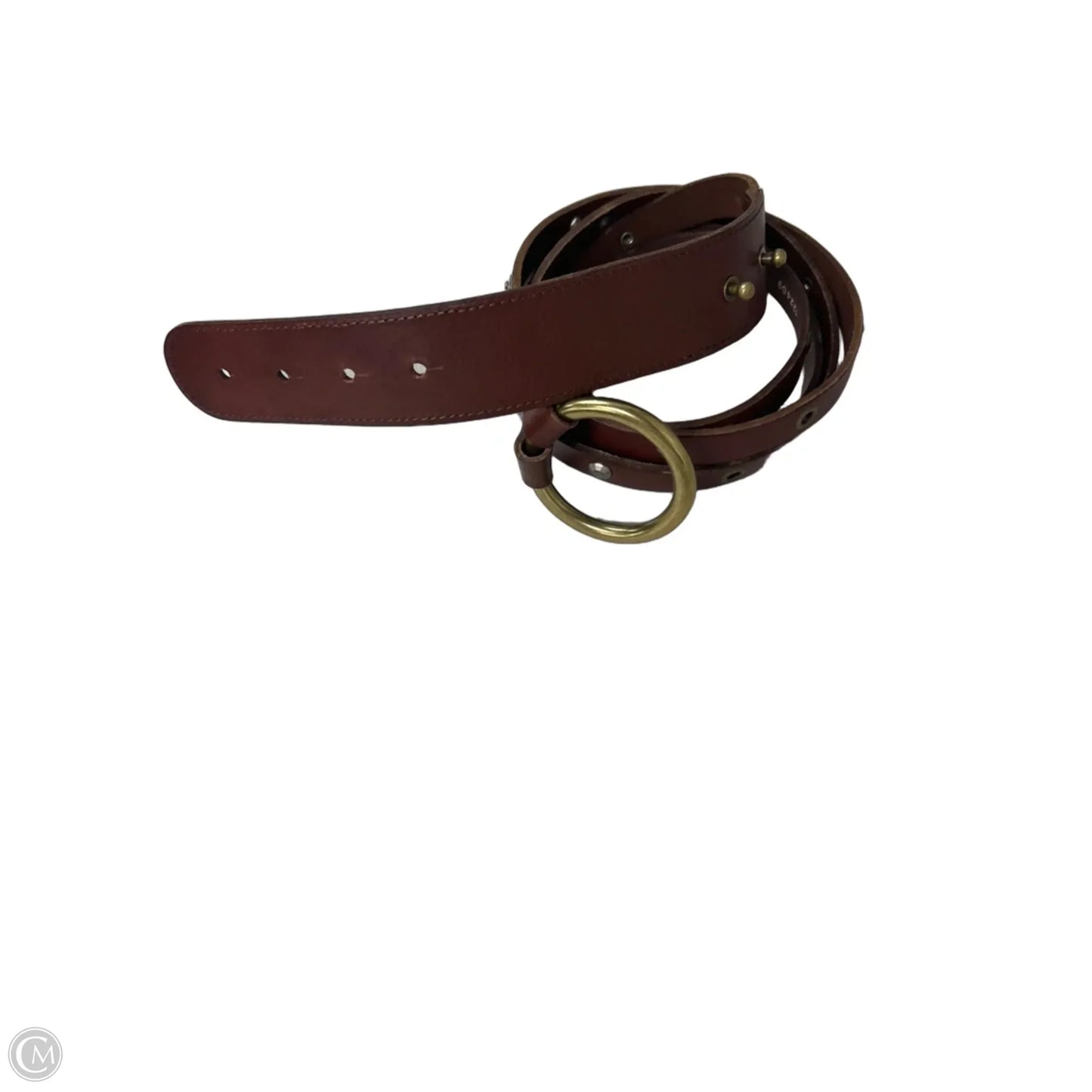Belt By Fossil, Size: