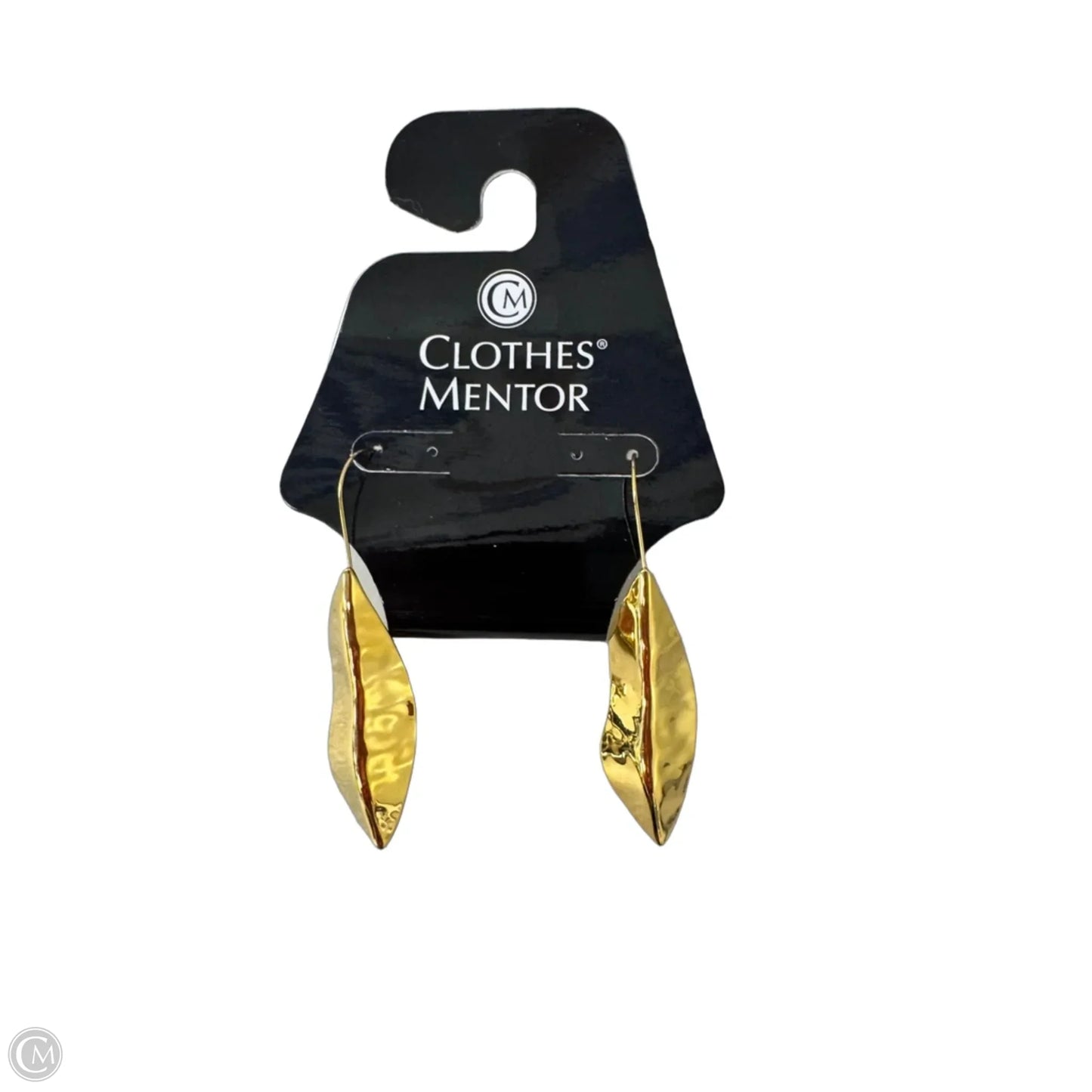 Earrings Dangle/drop By Clothes Mentor
