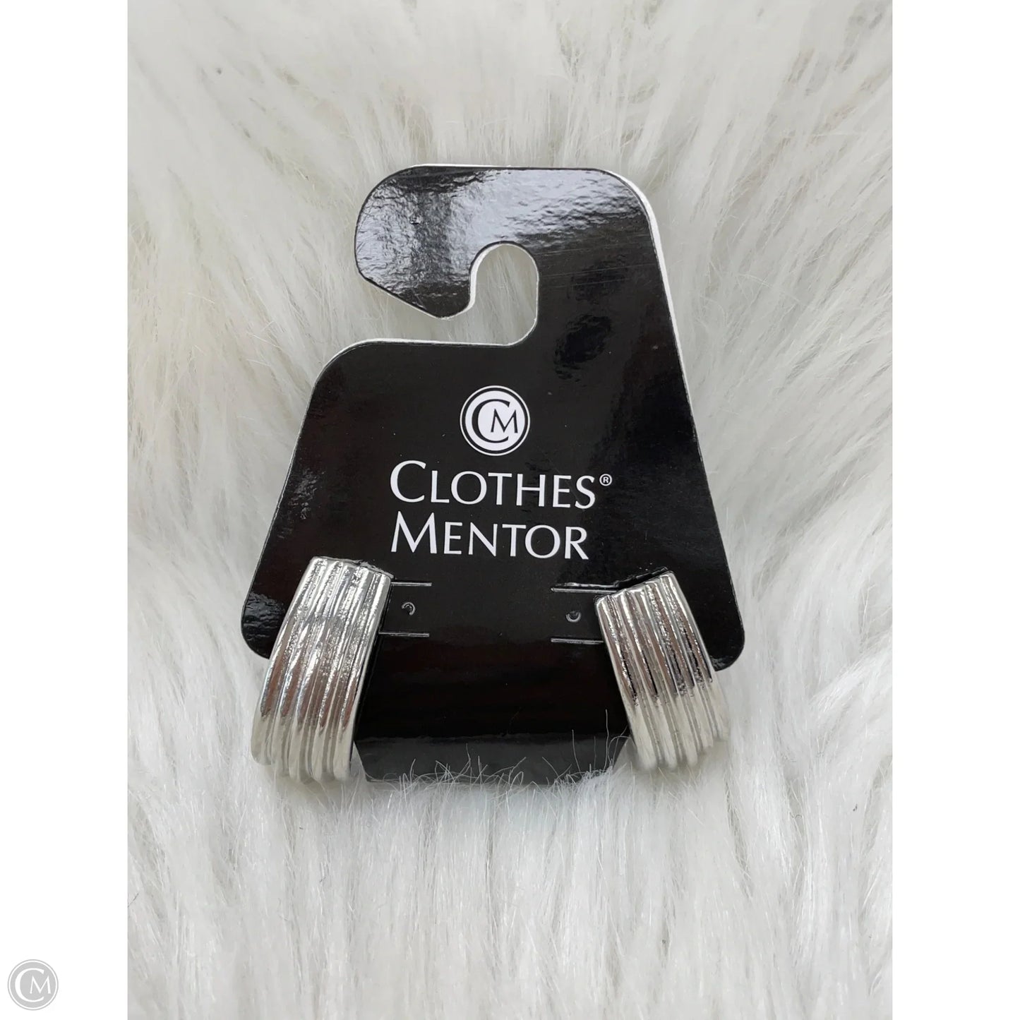 Earrings Dangle/drop By Clothes Mentor