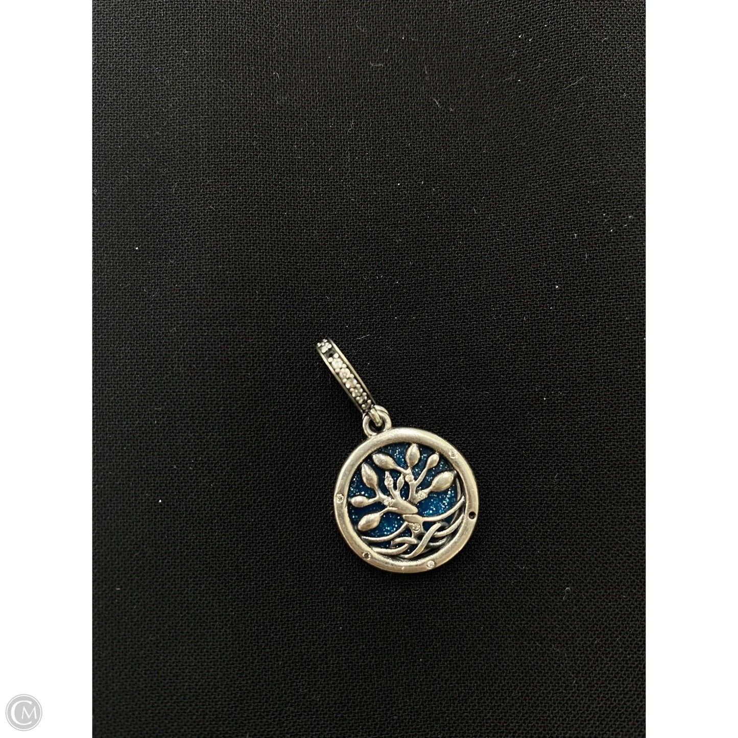 Jewelry Charm By Pandora