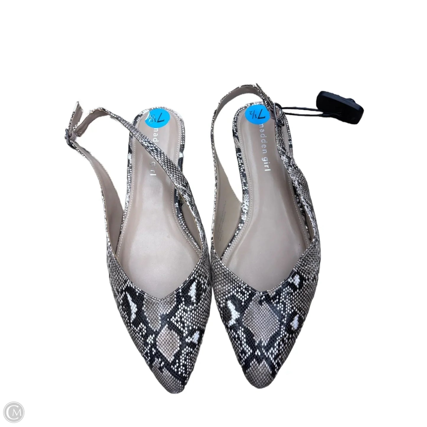 Shoes Flats By Madden Girl In Snakeskin Print, Size: 7.5