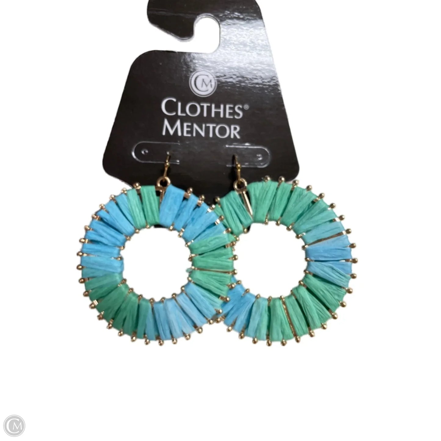 Earrings Dangle/drop By Clothes Mentor