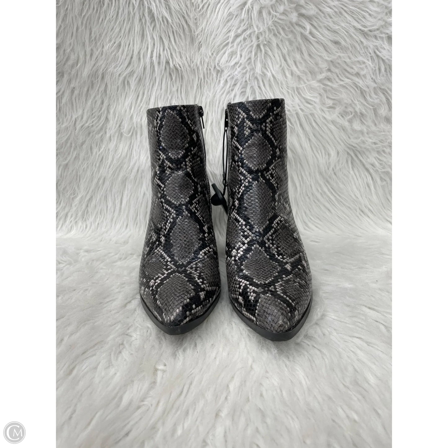 Boots Ankle Heels By Madden Girl In Snakeskin Print, Size: 10