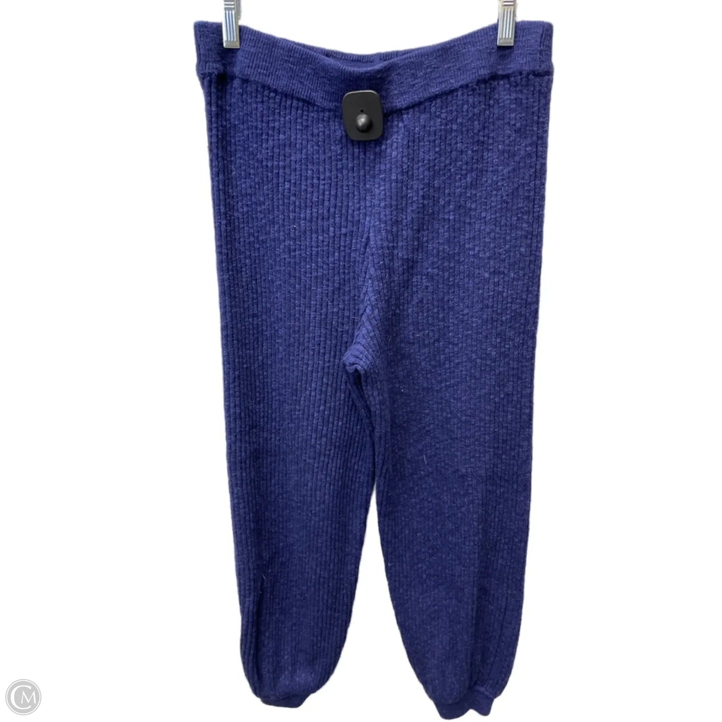 Pants Joggers By Free People In Blue, Size: 4