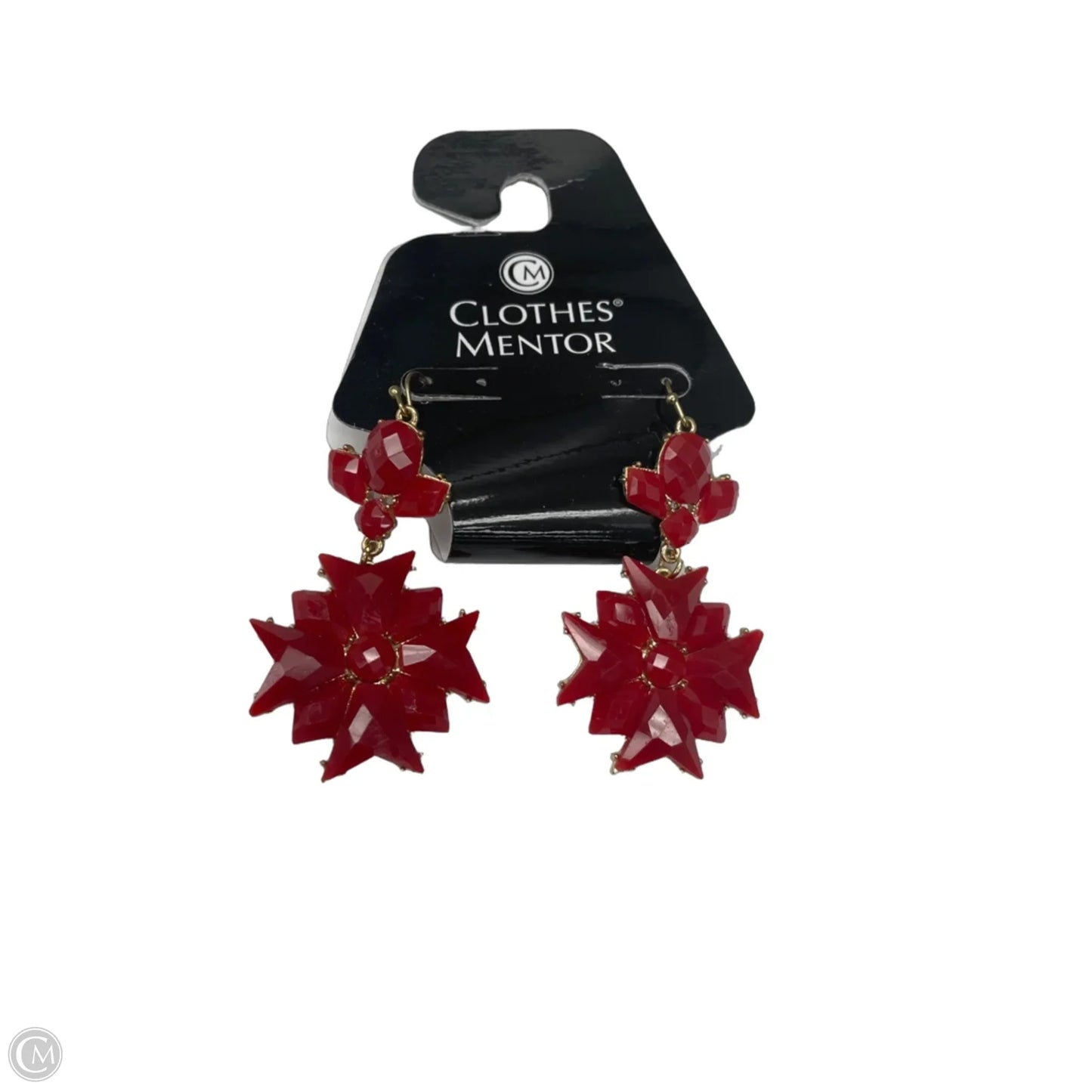 Earrings Dangle/drop By Clothes Mentor