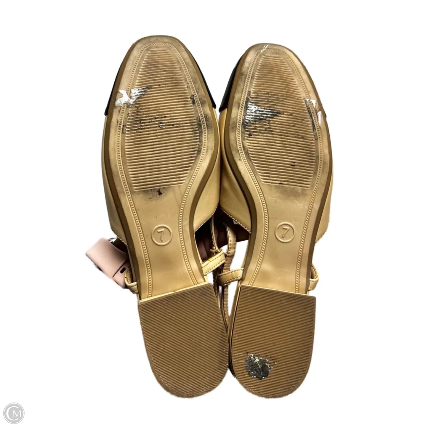 Shoes Heels Block By A New Day In Black & Tan, Size: 7