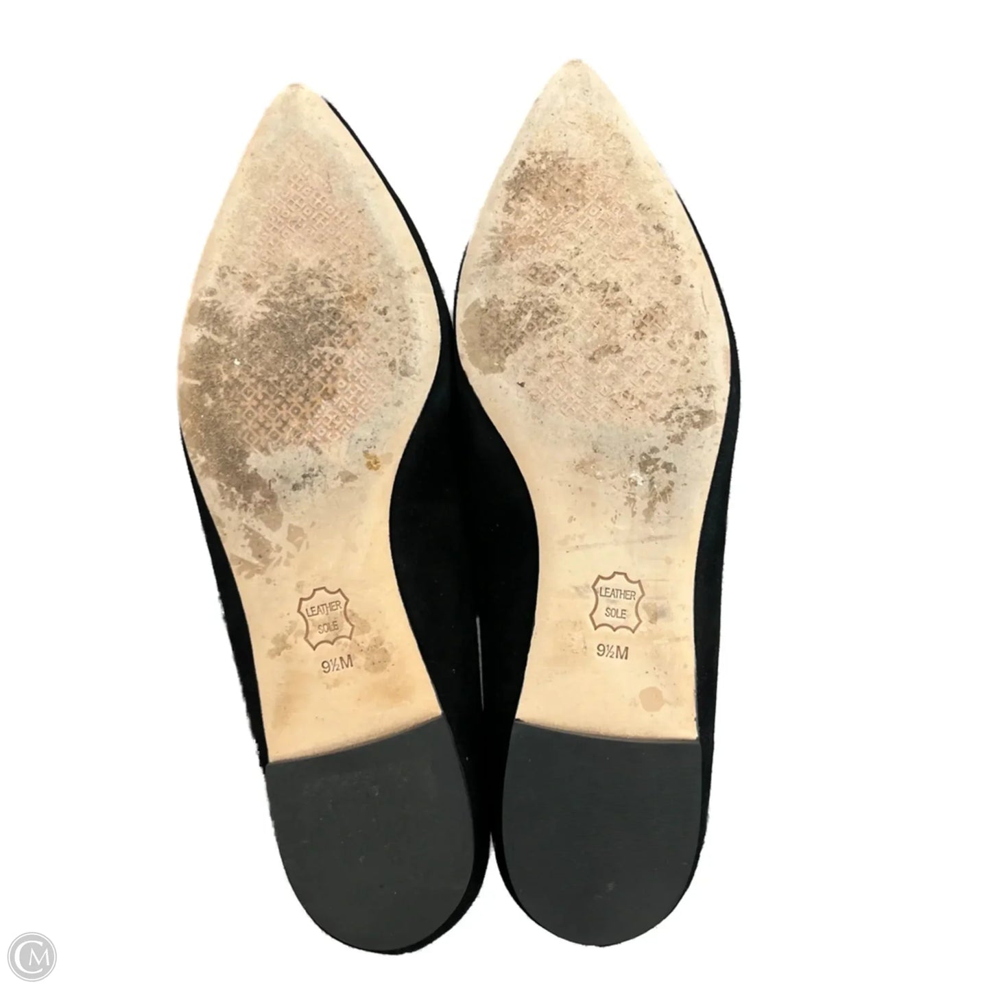 Shoes Designer By Tory Burch In Black, Size: 9.5