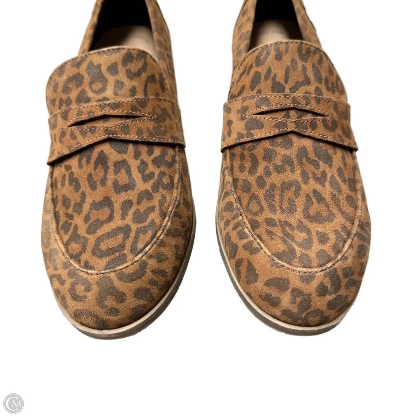 Shoes Heels Block By Clarks In Leopard Print, Size: 11