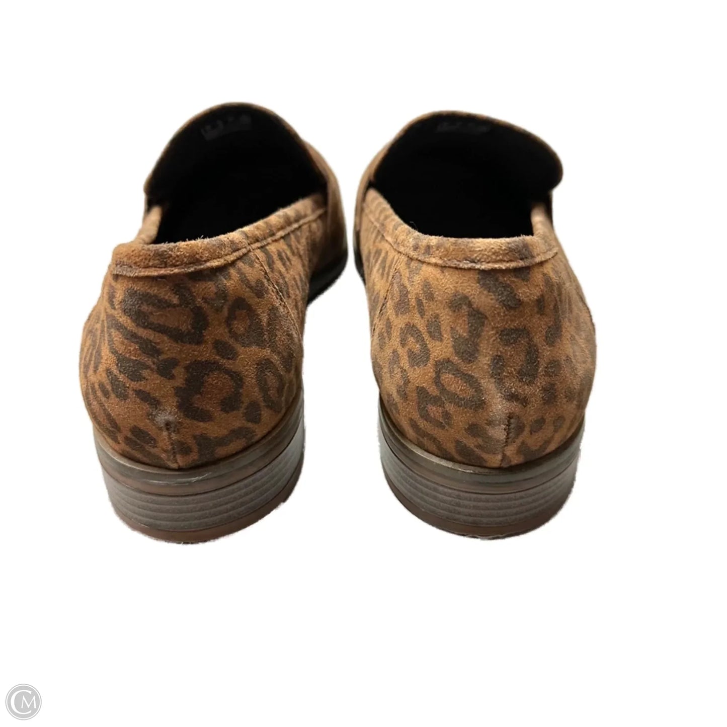 Shoes Heels Block By Clarks In Leopard Print, Size: 11