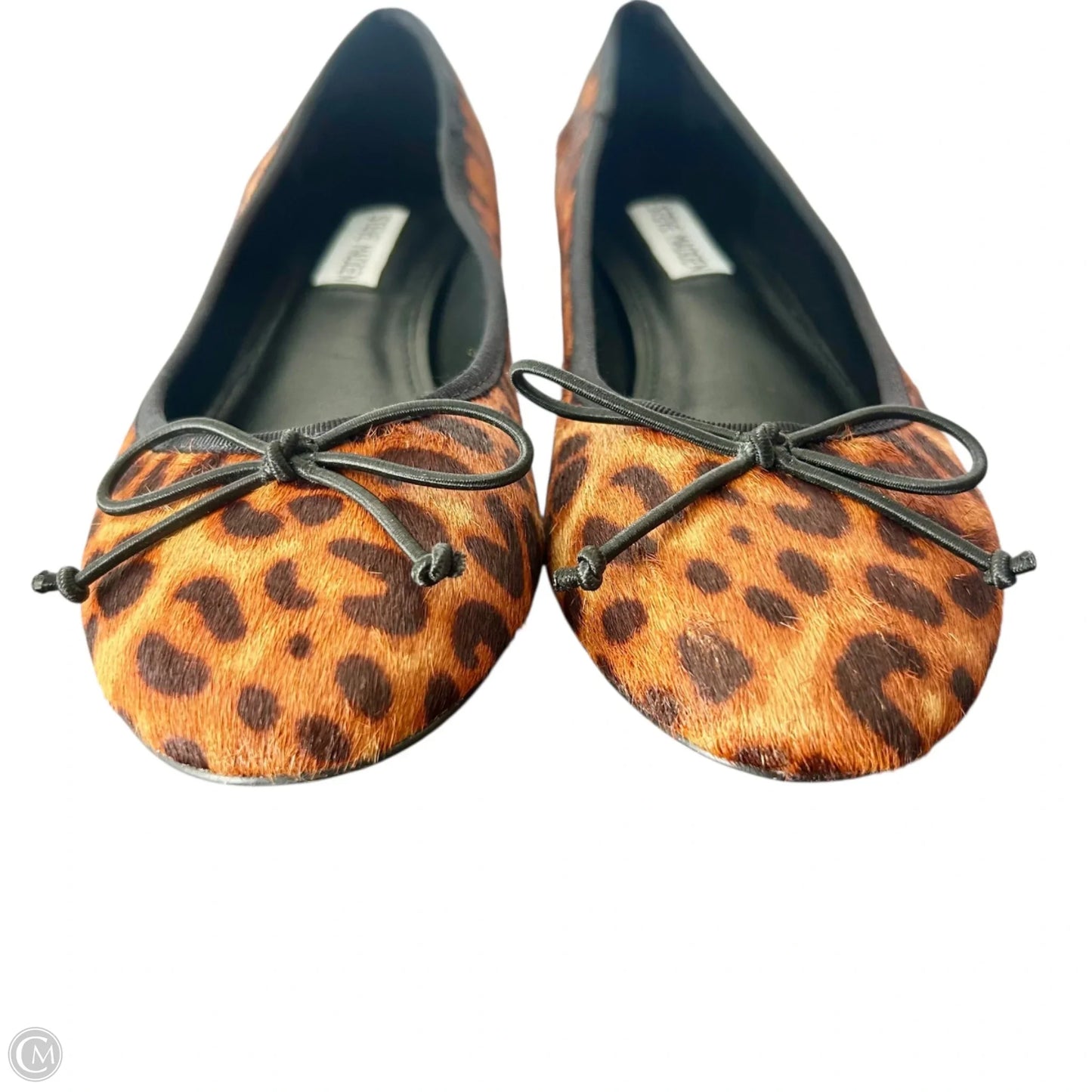 Shoes Heels Block By Steve Madden In Leopard Print, Size: 9