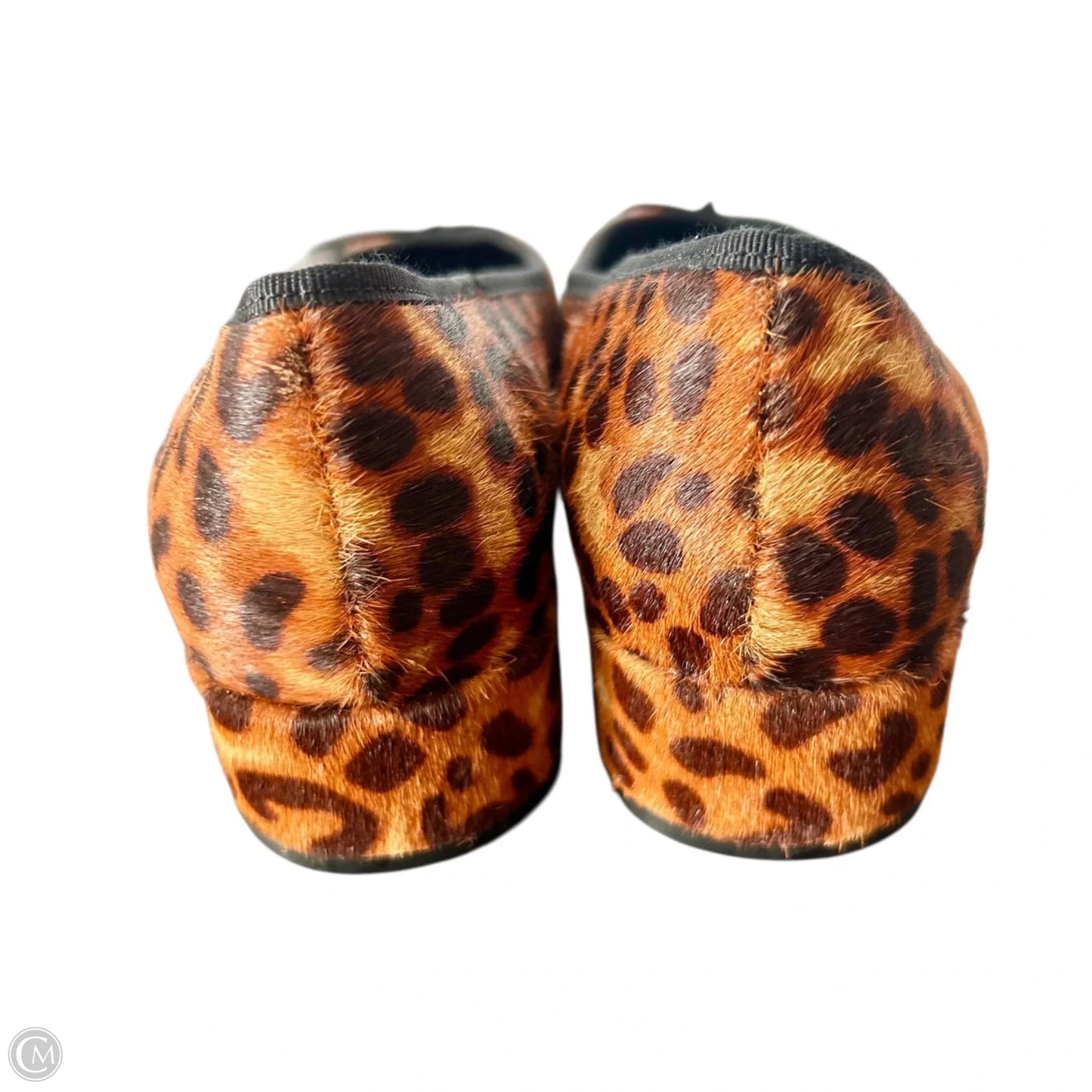 Shoes Heels Block By Steve Madden In Leopard Print, Size: 9