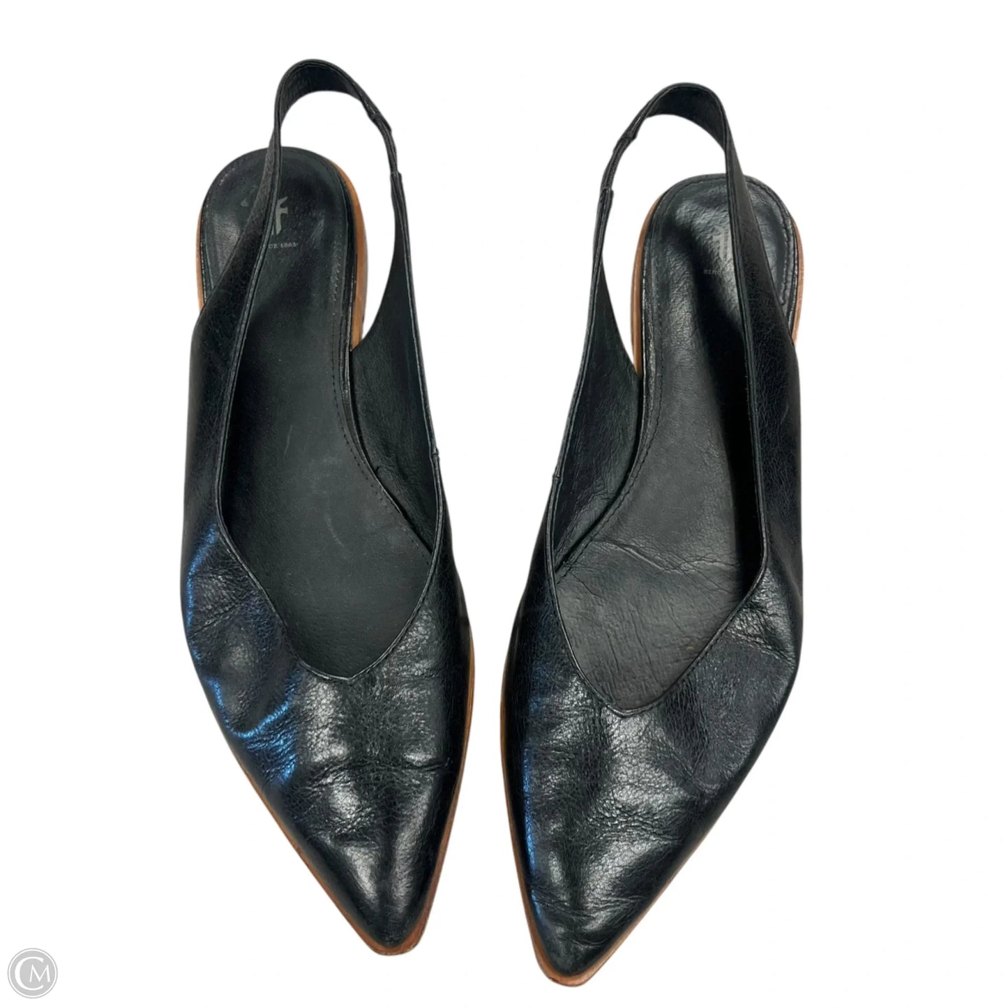 Shoes Designer By Frye In Black, Size: 11