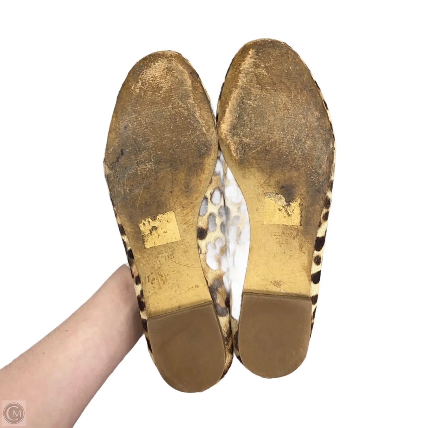 Shoes Flats In Leopard Print, Size: 11