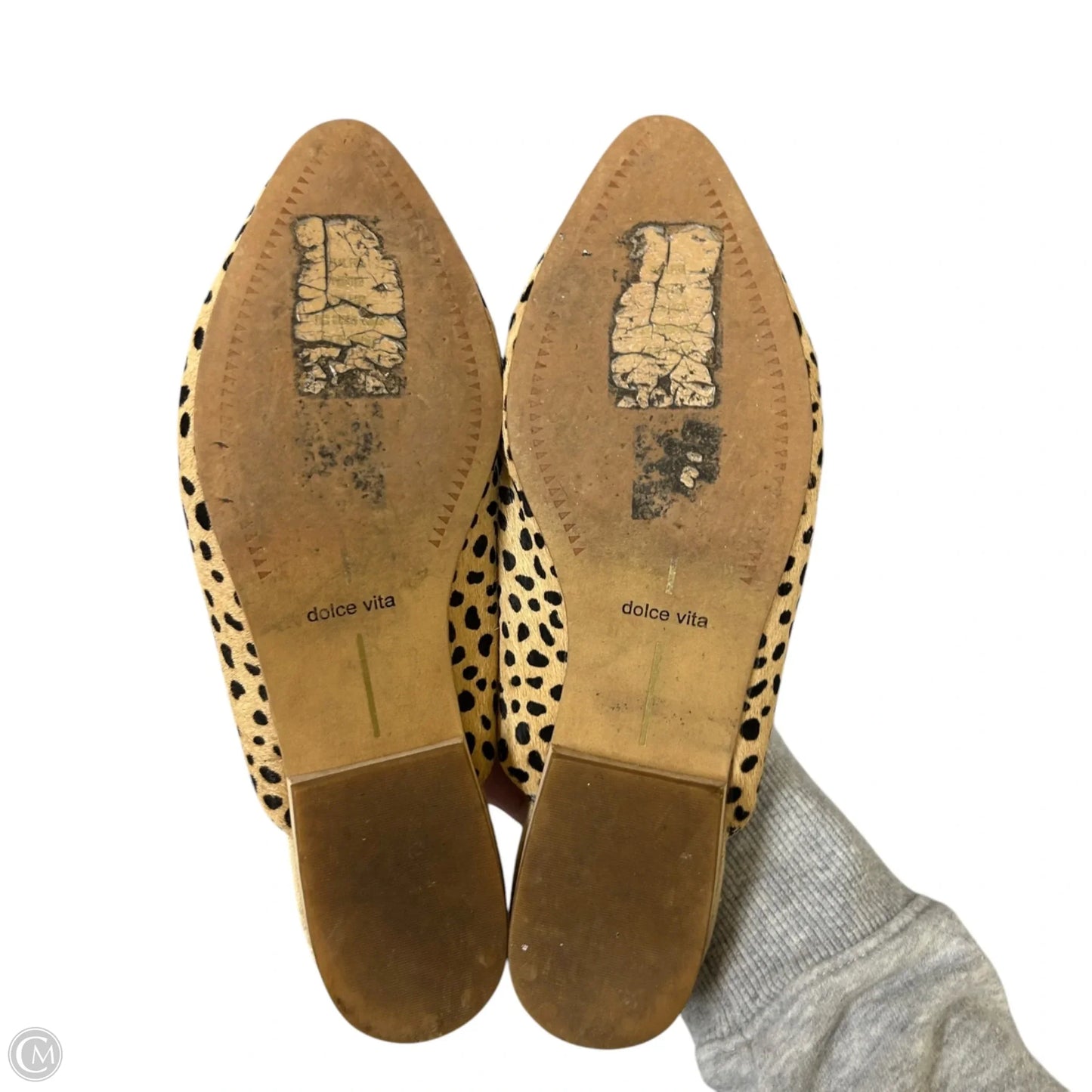 Shoes Flats By Dolce Vita In Leopard Print, Size: 7