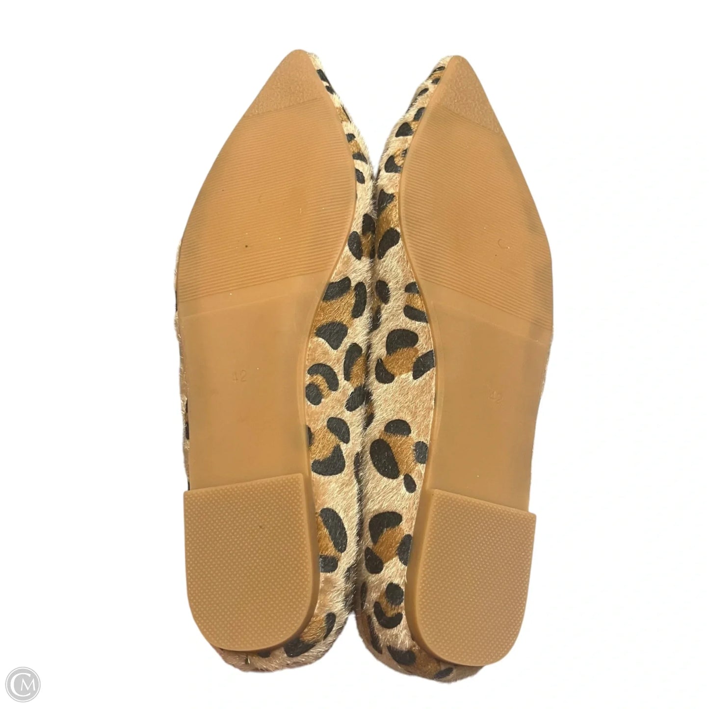 Shoes Flats In Leopard Print, Size: 11.5