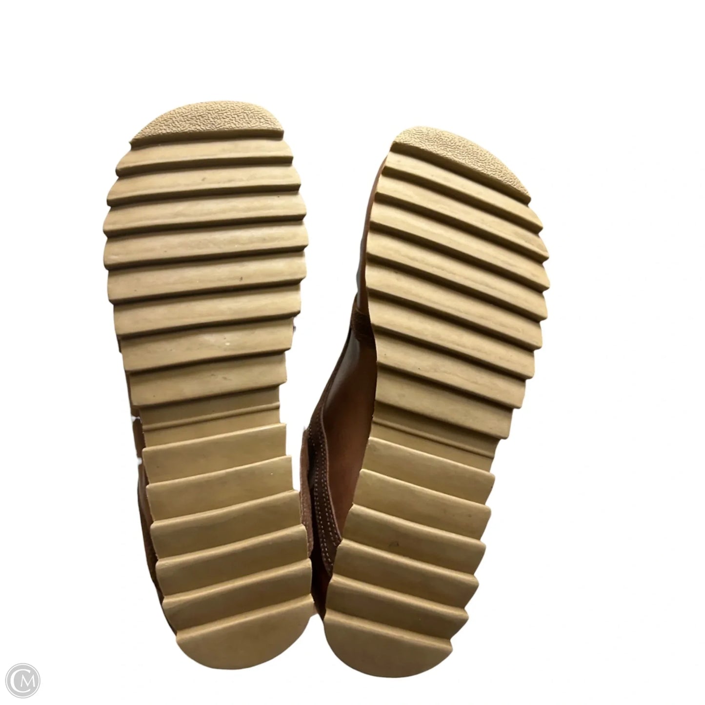 Shoes Sneakers By Steve Madden In Brown & Cream, Size: 11
