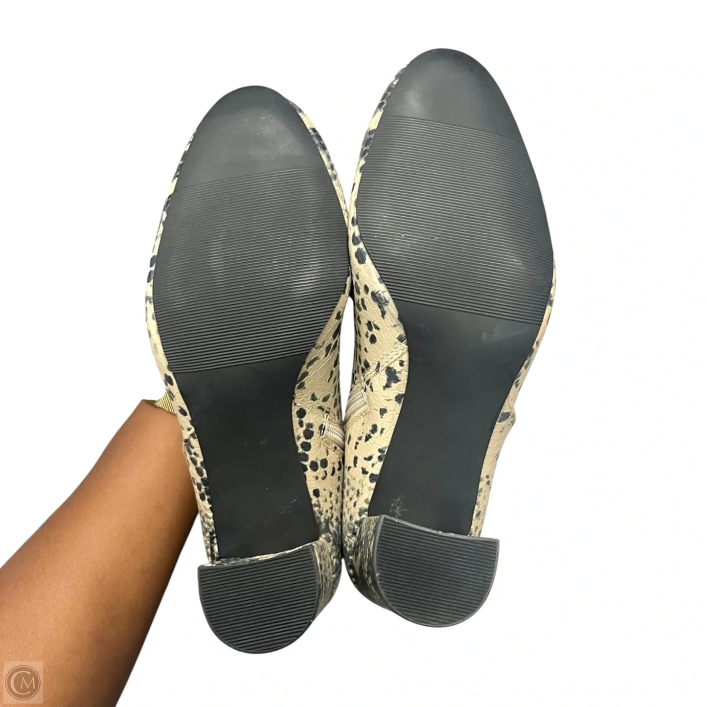 Boots Knee Heels By Madden Girl In Snakeskin Print, Size: 7