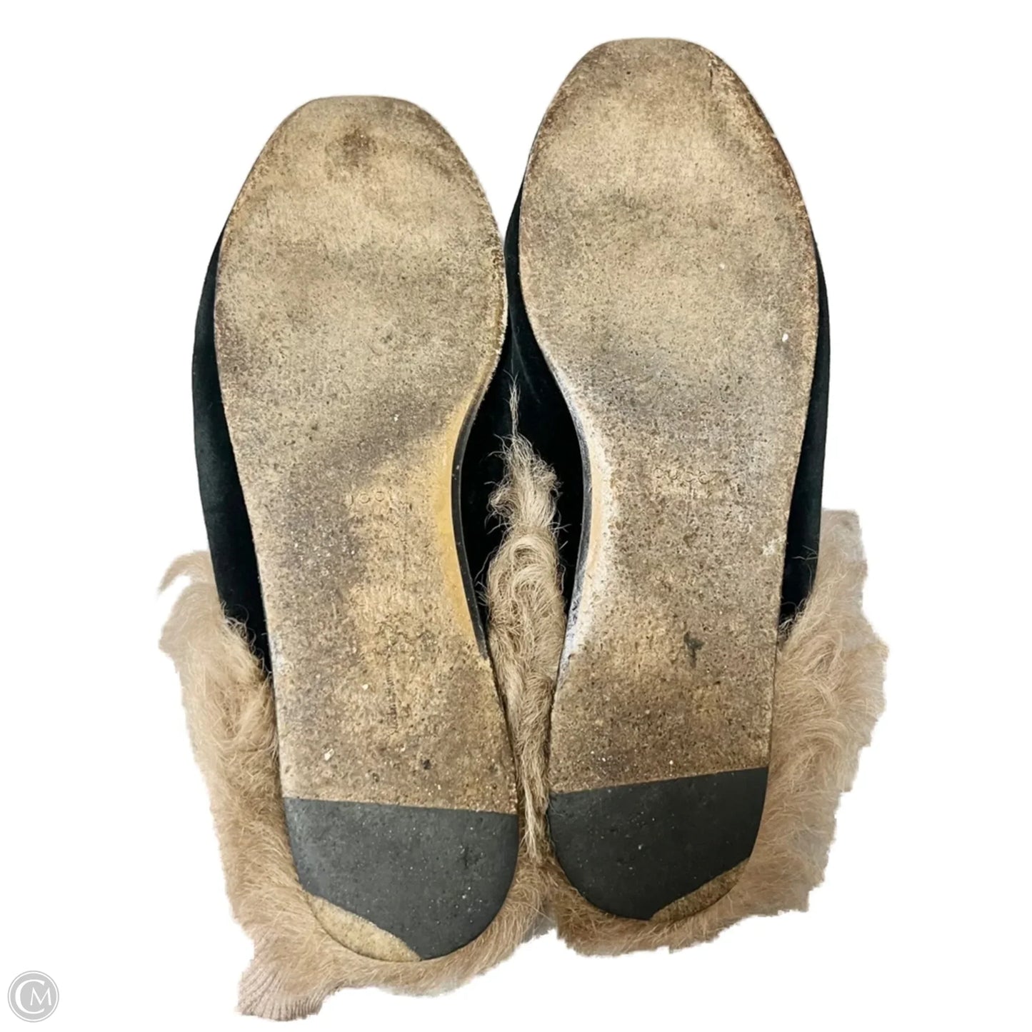 Shoes Luxury Designer By Gucci In Black, Size: 6.5