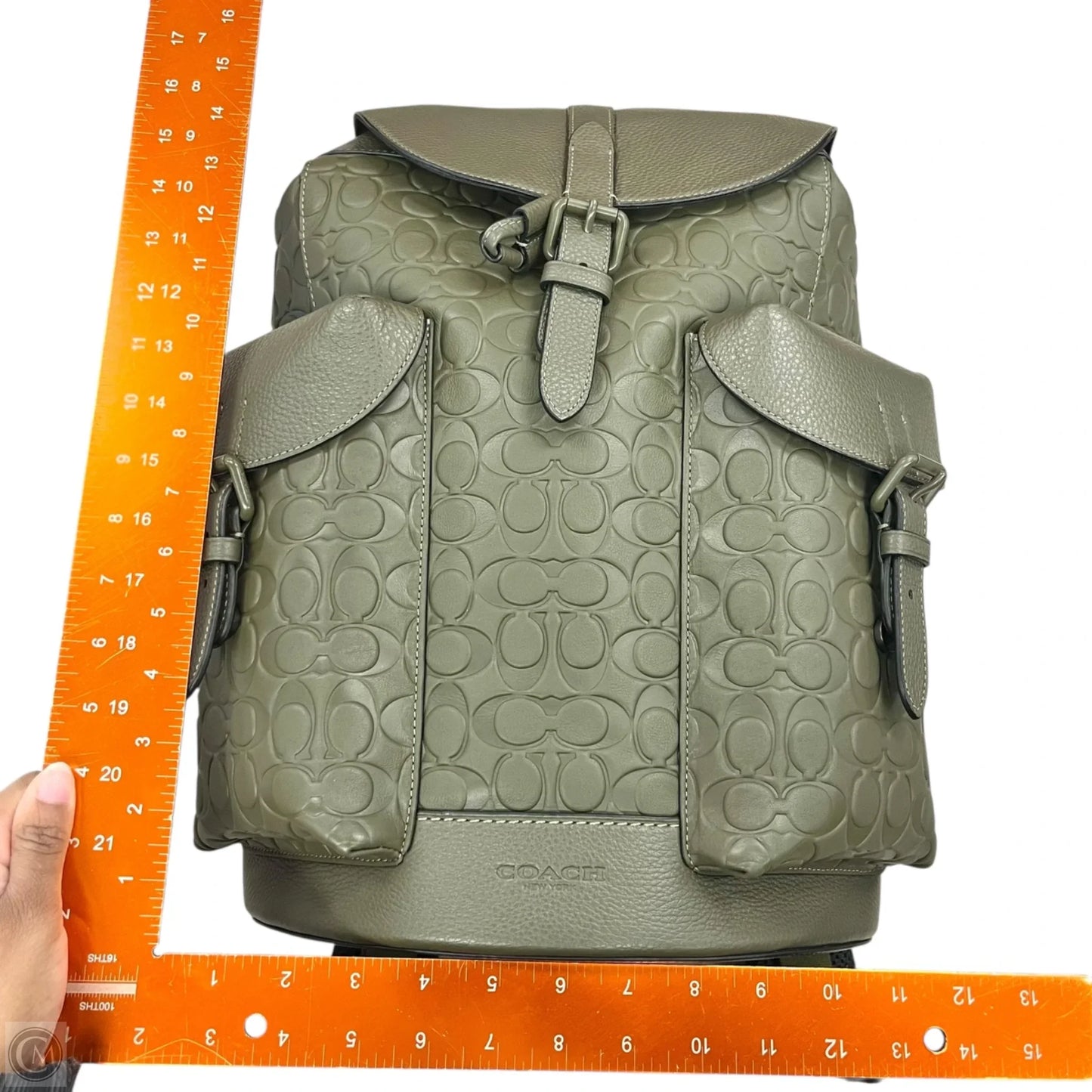 Backpack Designer By Coach, Size: Large