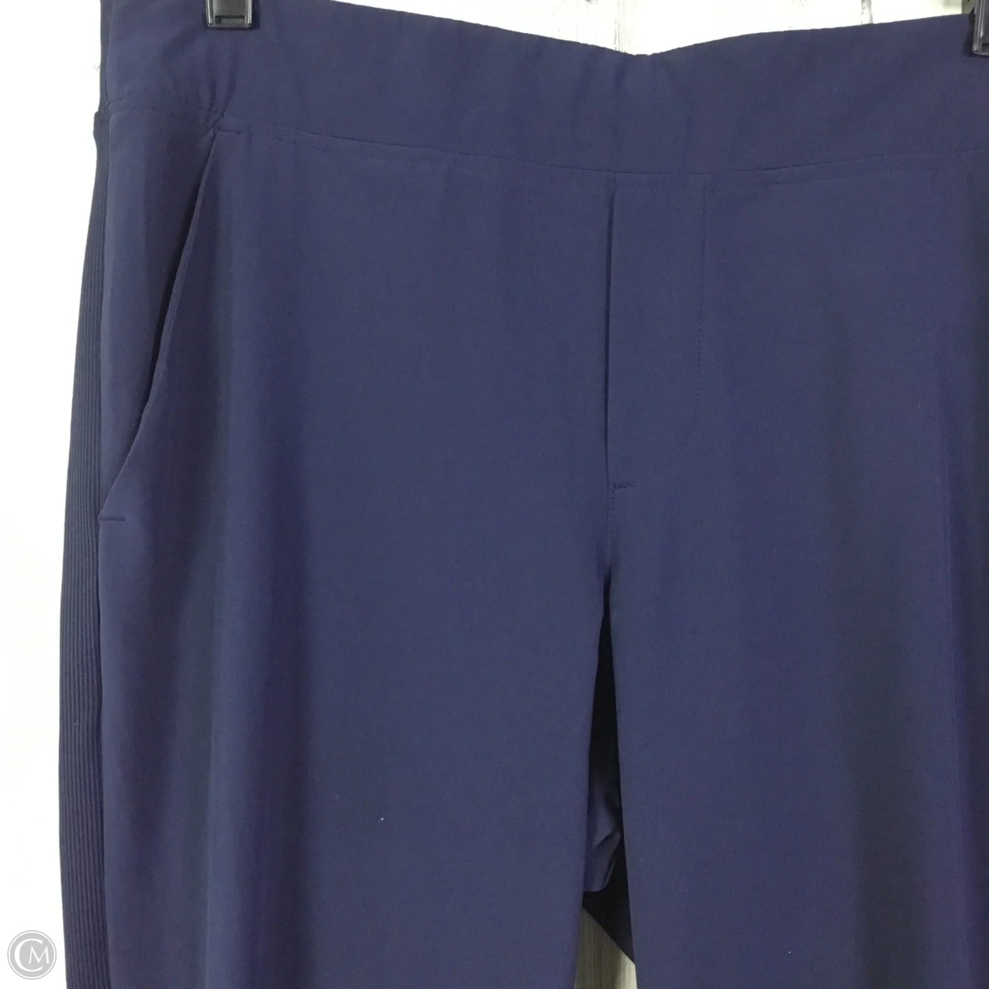 Athletic Pants By Athleta In Blue, Size: M