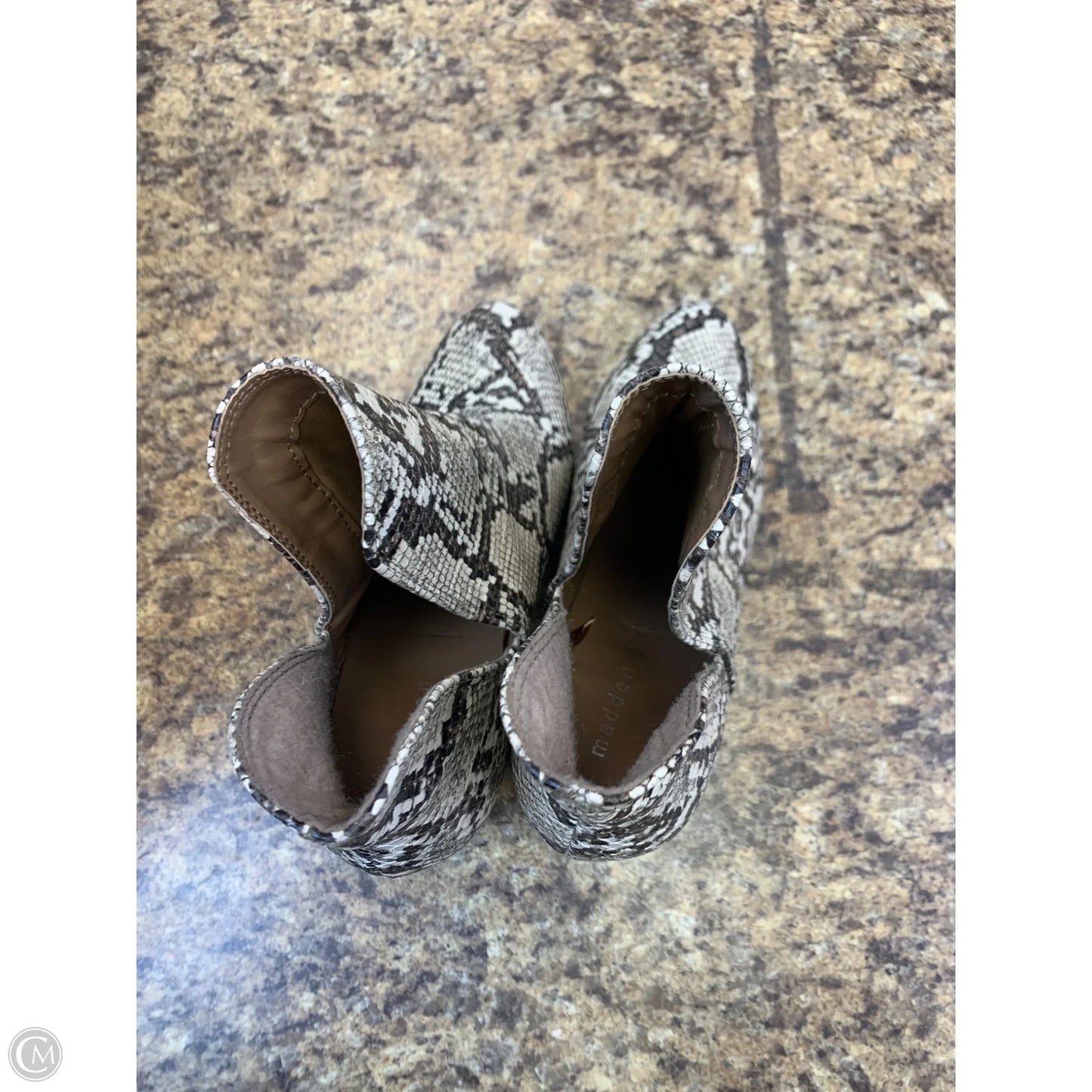 Boots Ankle Heels By Madden Girl In Snakeskin Print, Size: 7.5