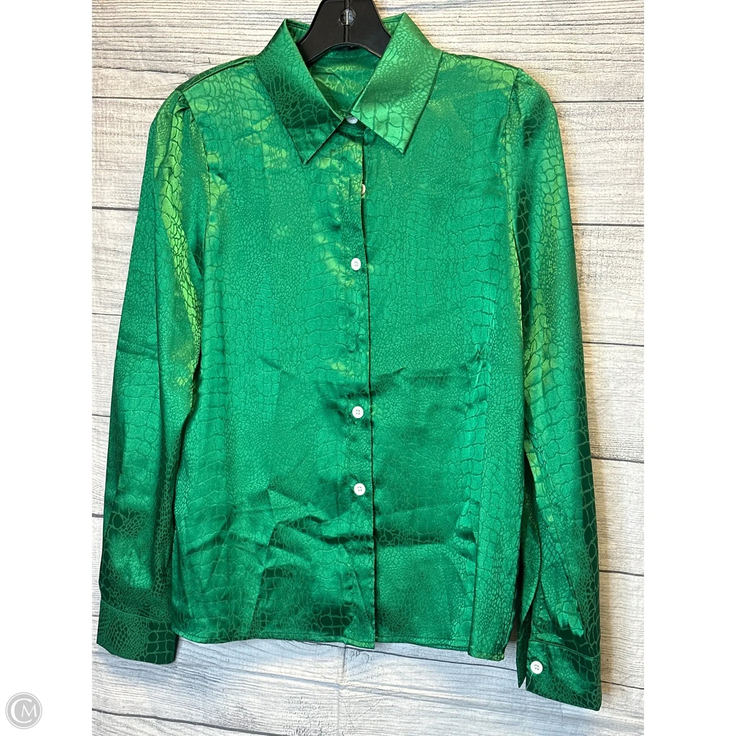 Blouse Long Sleeve By Shein In Green, Size: S