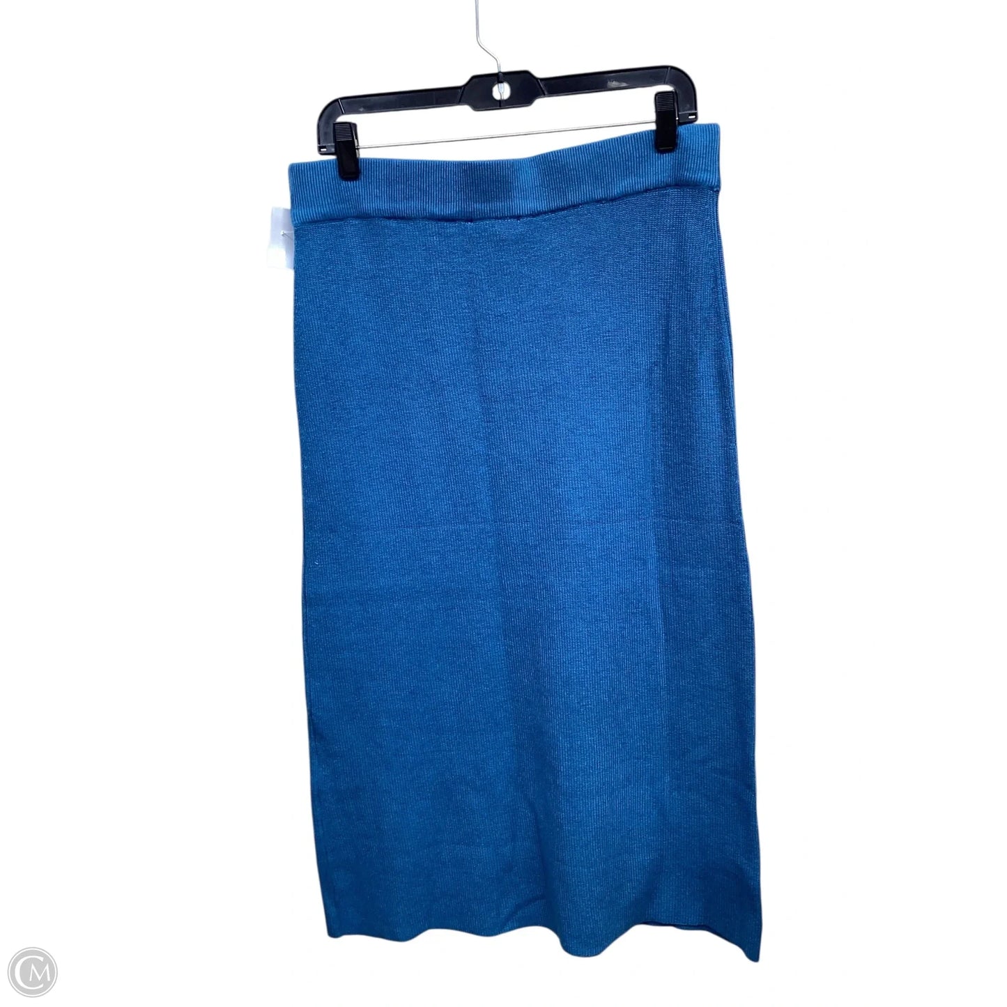 Skirt Maxi By Ann Taylor In Blue, Size: L