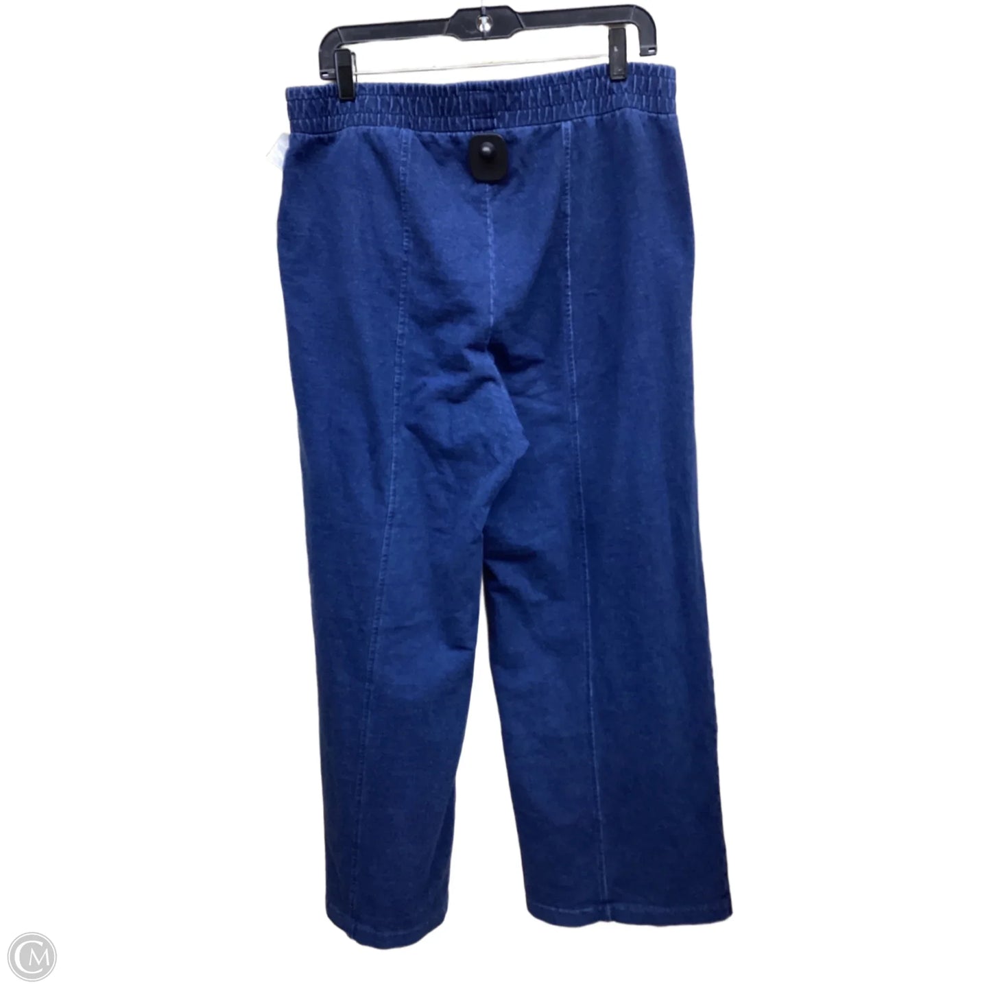 Pants Other By Gap In Blue, Size: L