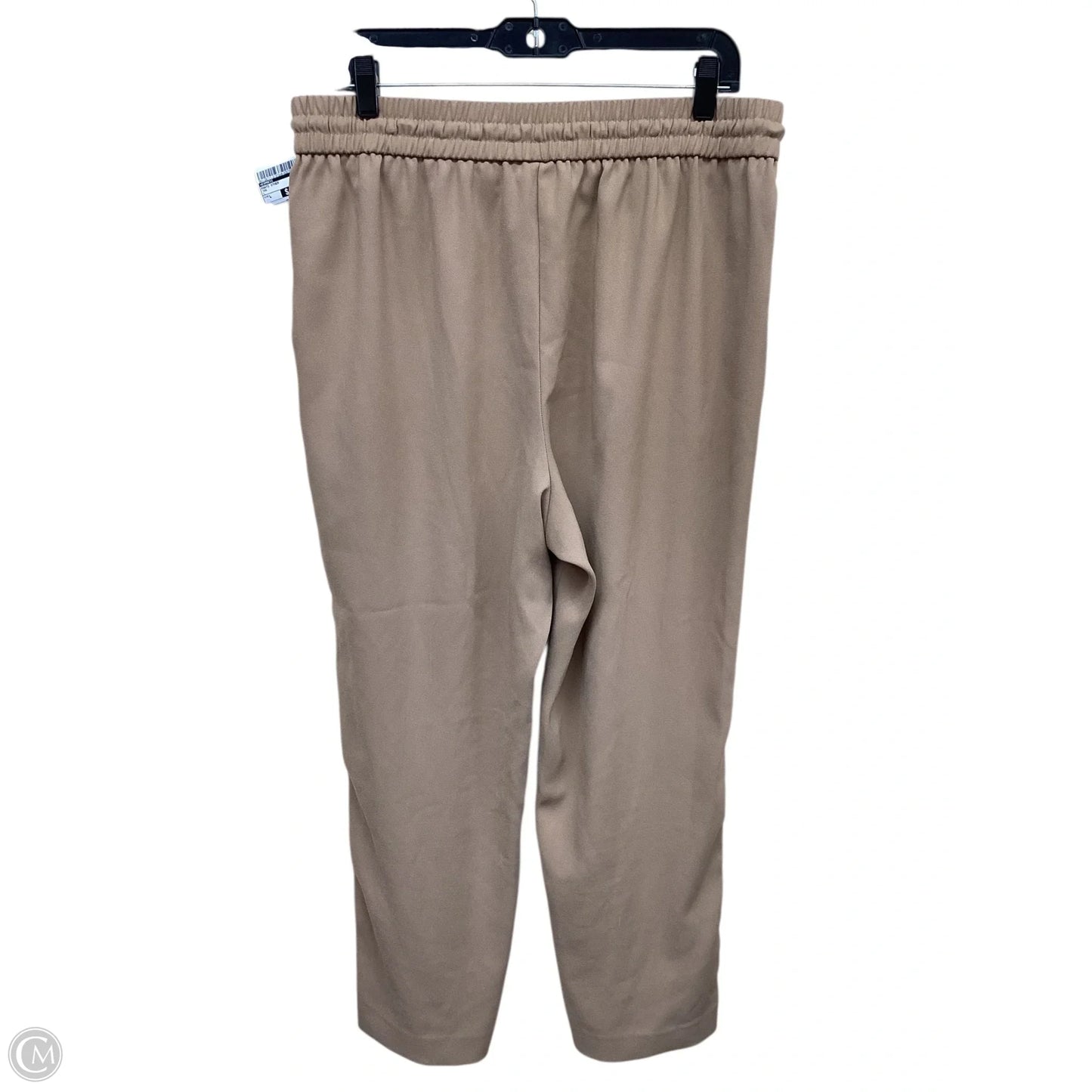 Pants Other By Express In Tan, Size: L